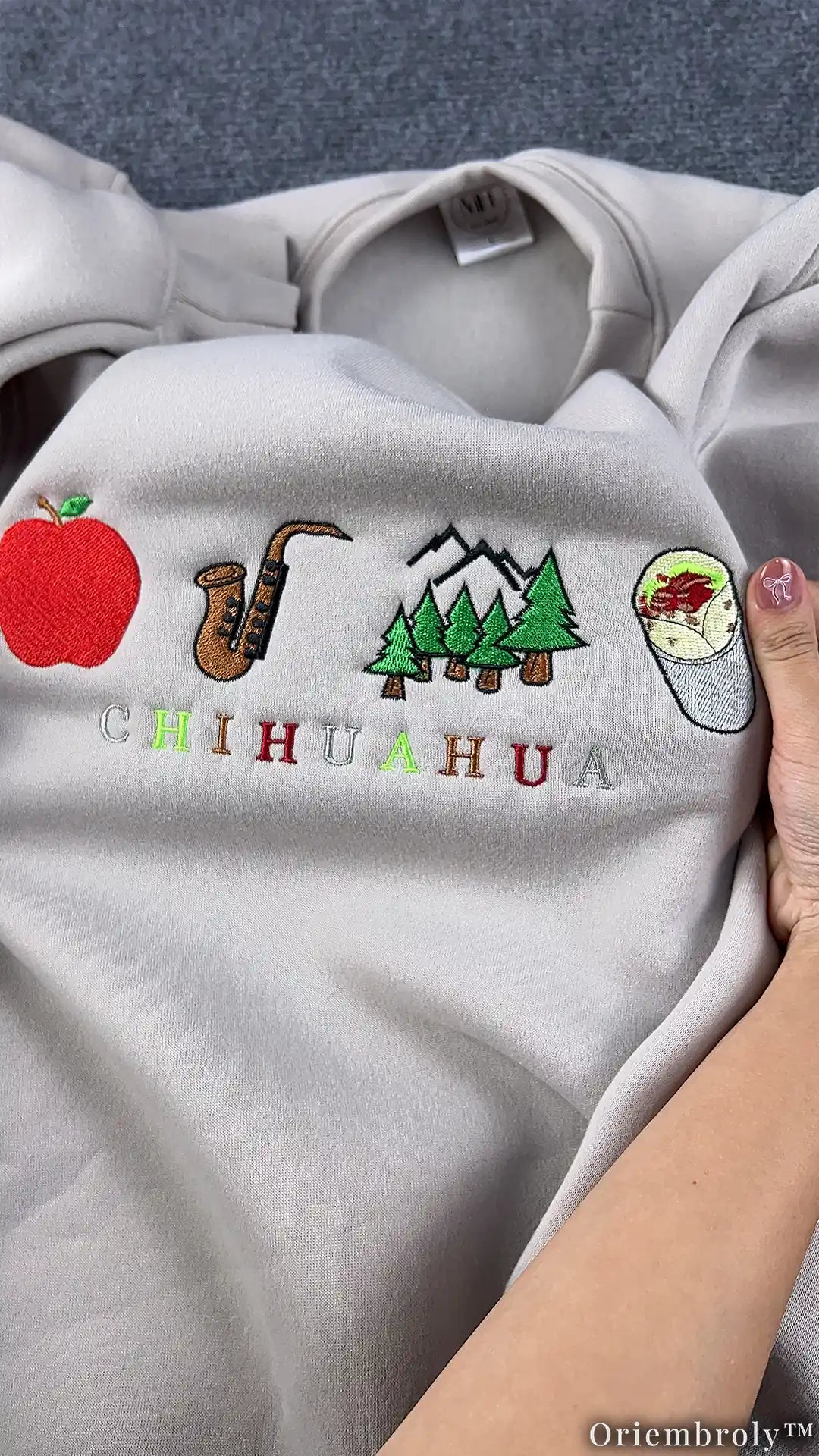Chihuahua Rebus Puzzle Sweater - Apple Sax Mountain Burrito