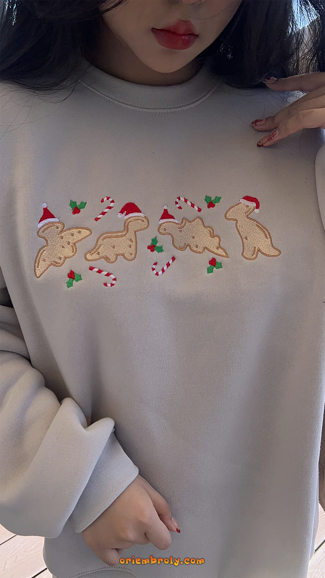 Cute holiday dinosaur cookie matching family outfit