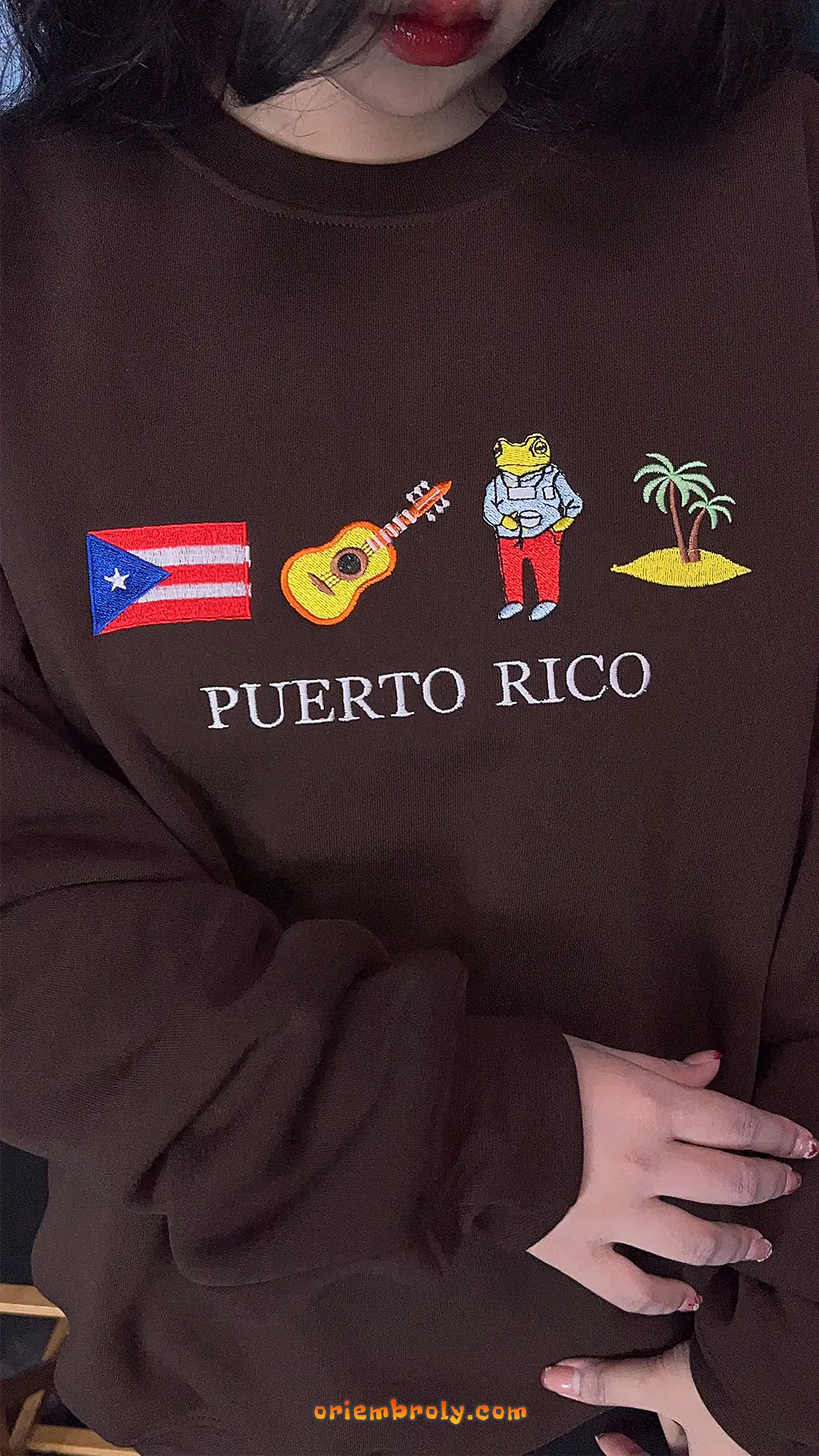 Cuatro guitar and Coquí frog embroidered sweatshirt