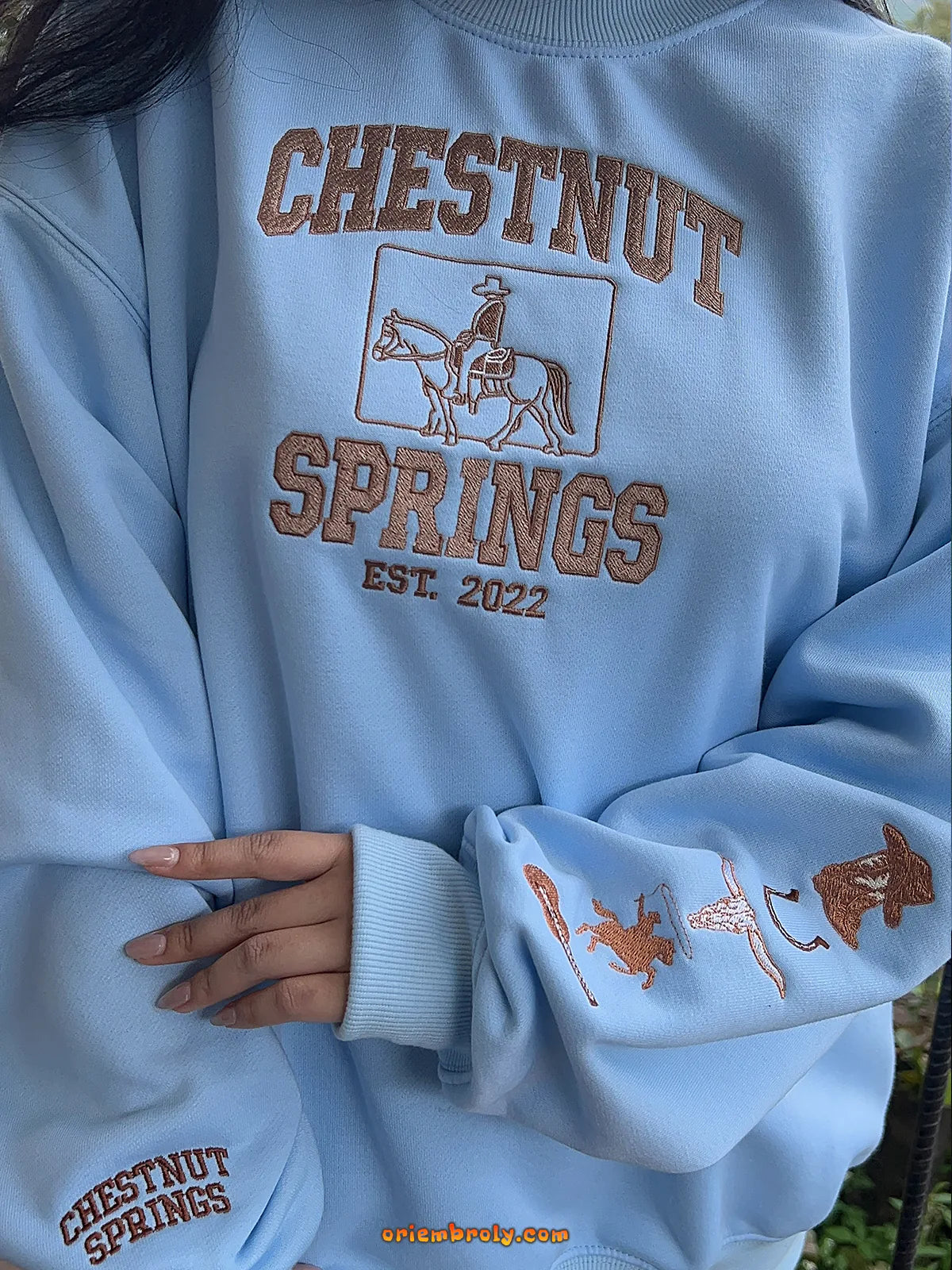 Light blue sweatshirt with 'Chestnut Springs' text and graphics on a person wearing it.