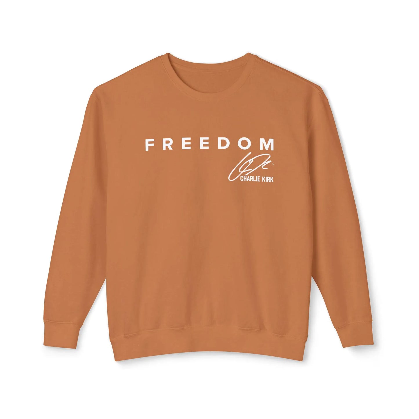 political-movement-hoodie-charlie-kirk