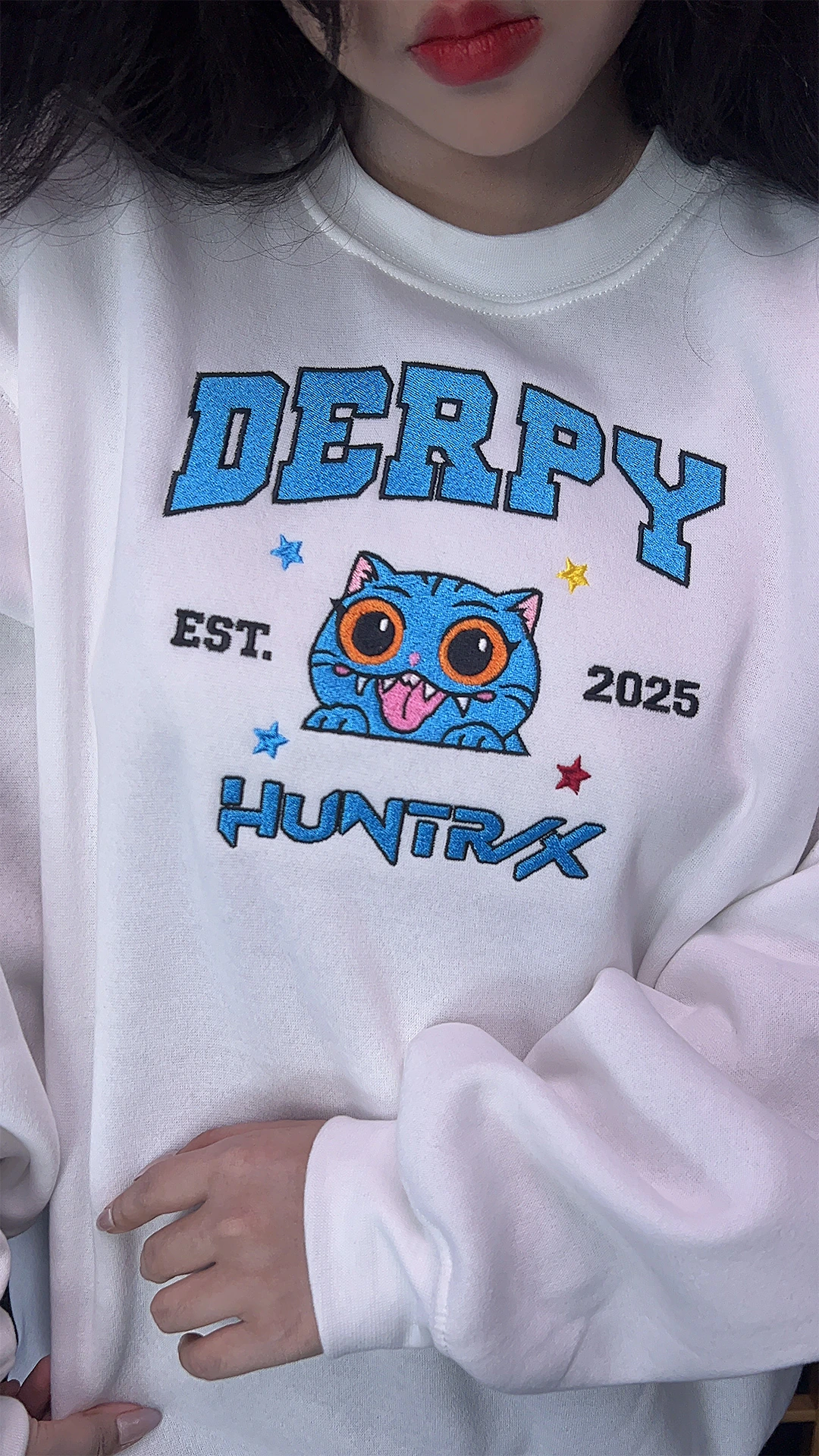 Kpop Inspired Derpy Tiger Embroidered Hoodie – Trendy Demon Hunter Merch Crewneck Shirt