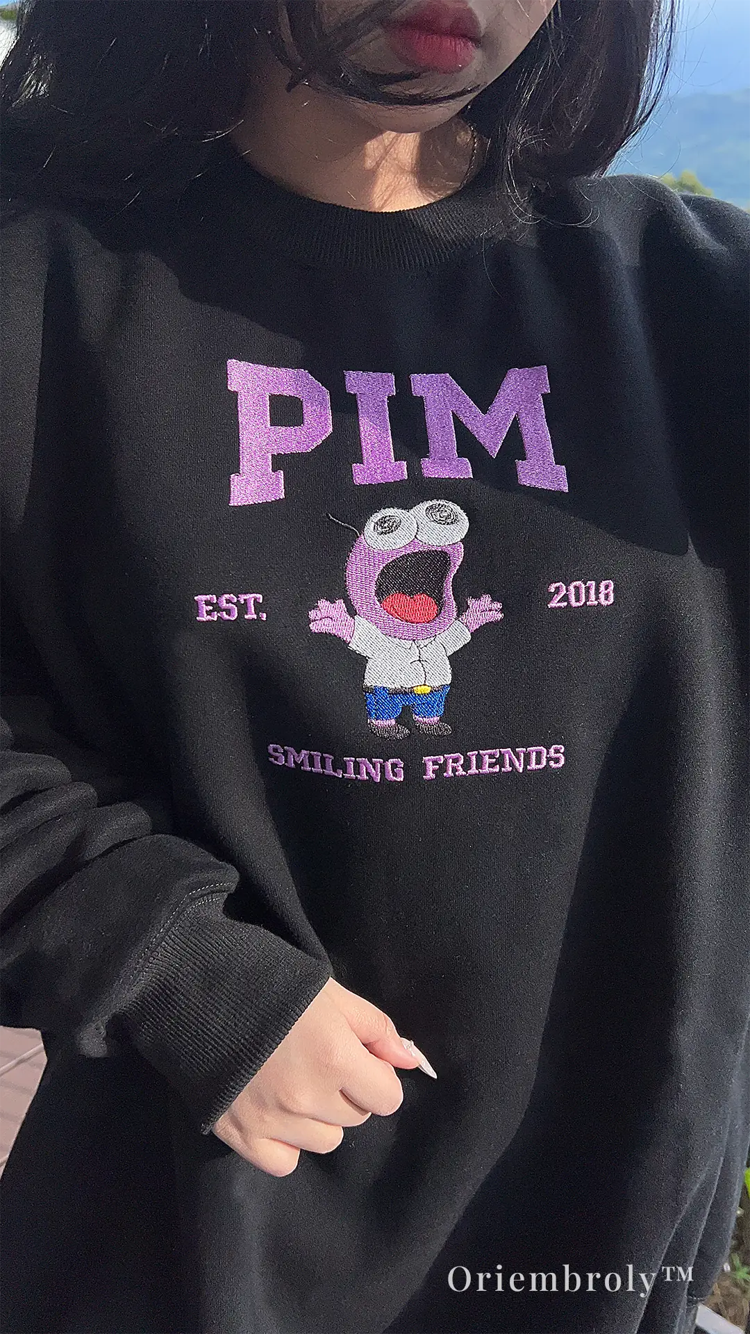 retro badge style embroidered cartoon design