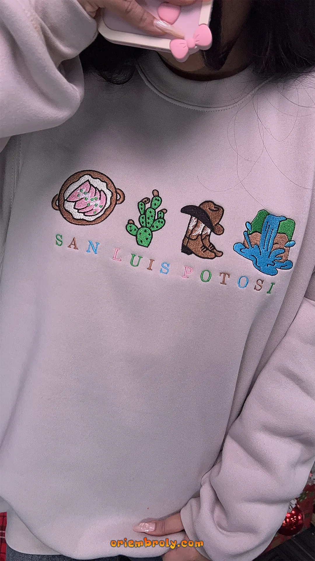 San Luis Potosí travel souvenir sweatshirt