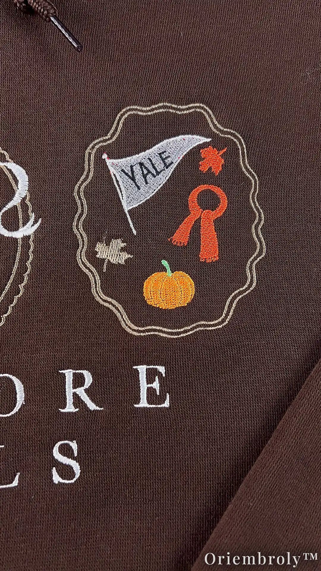 Bookworm Autumn Embroidered Hoodie – Cozy Coffee Frame Pullover