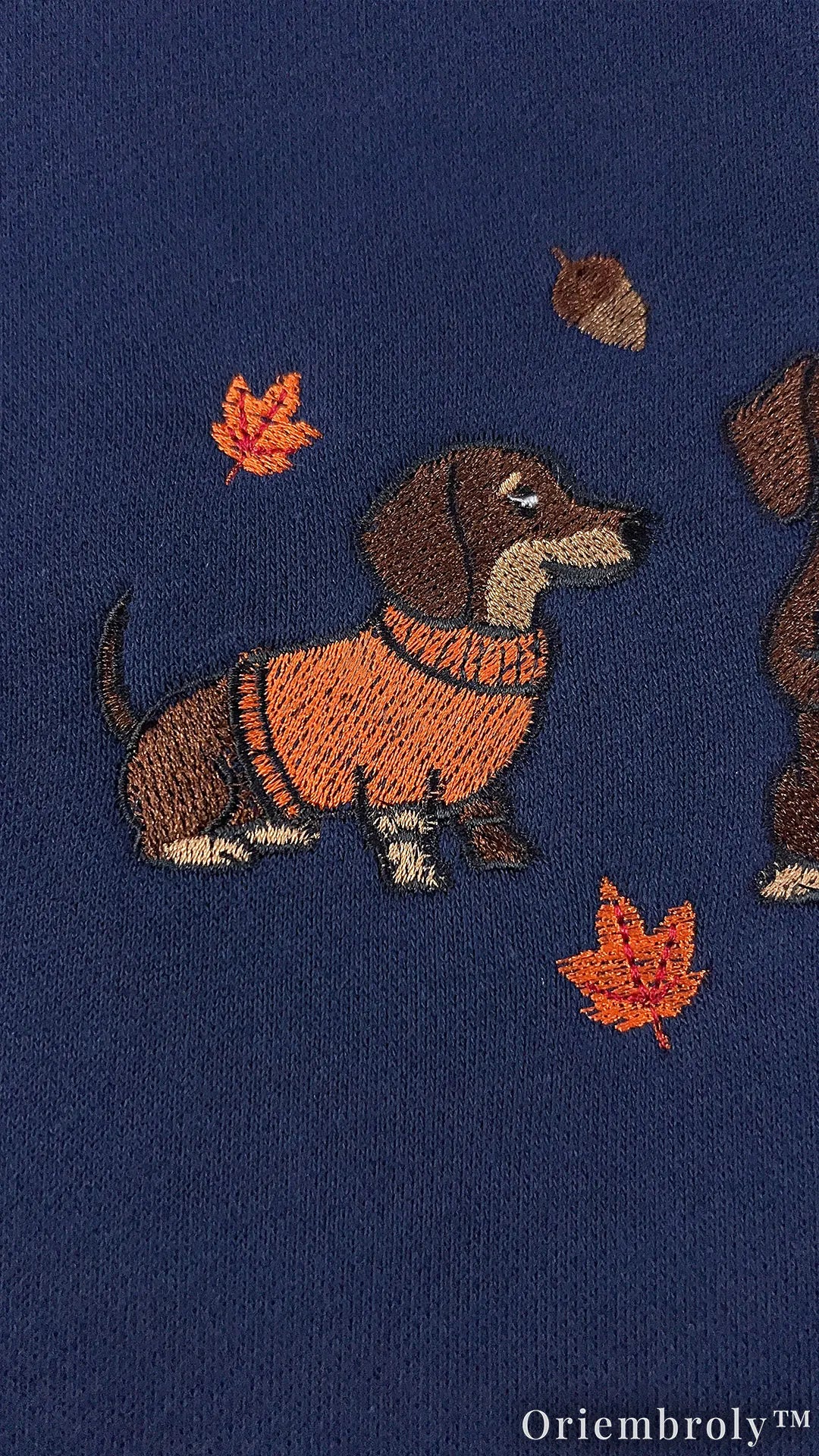 Cozy Dachshund Embroidered Sweatshirt – Autumn Wiener Dog Unisex Fleece Crewneck