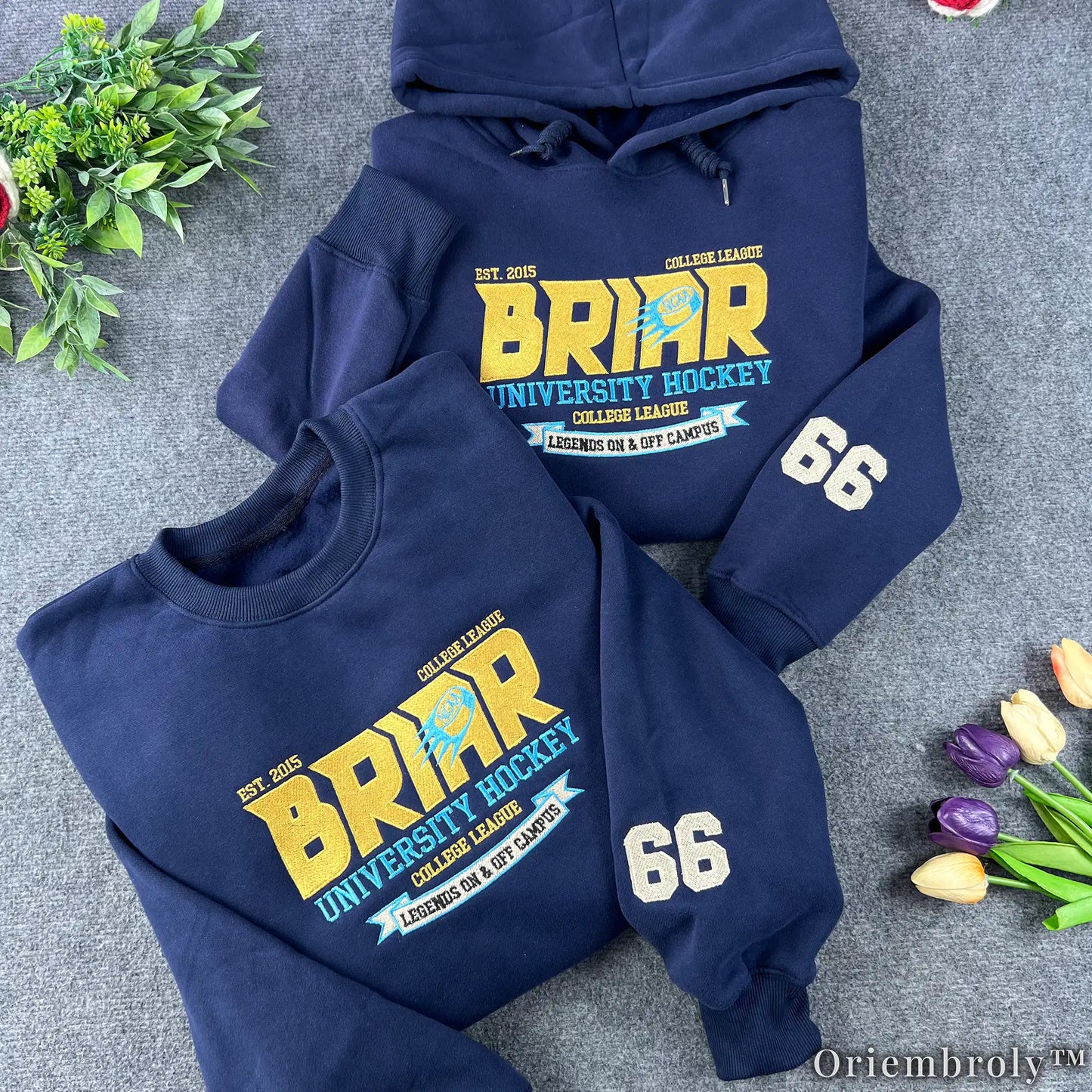 Briar University Hockey Embroidered Sweatshirt – Vintage Collegiate Crewneck