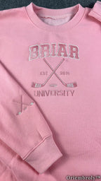 Embroidered Collegiate Varsity Sweatshirt