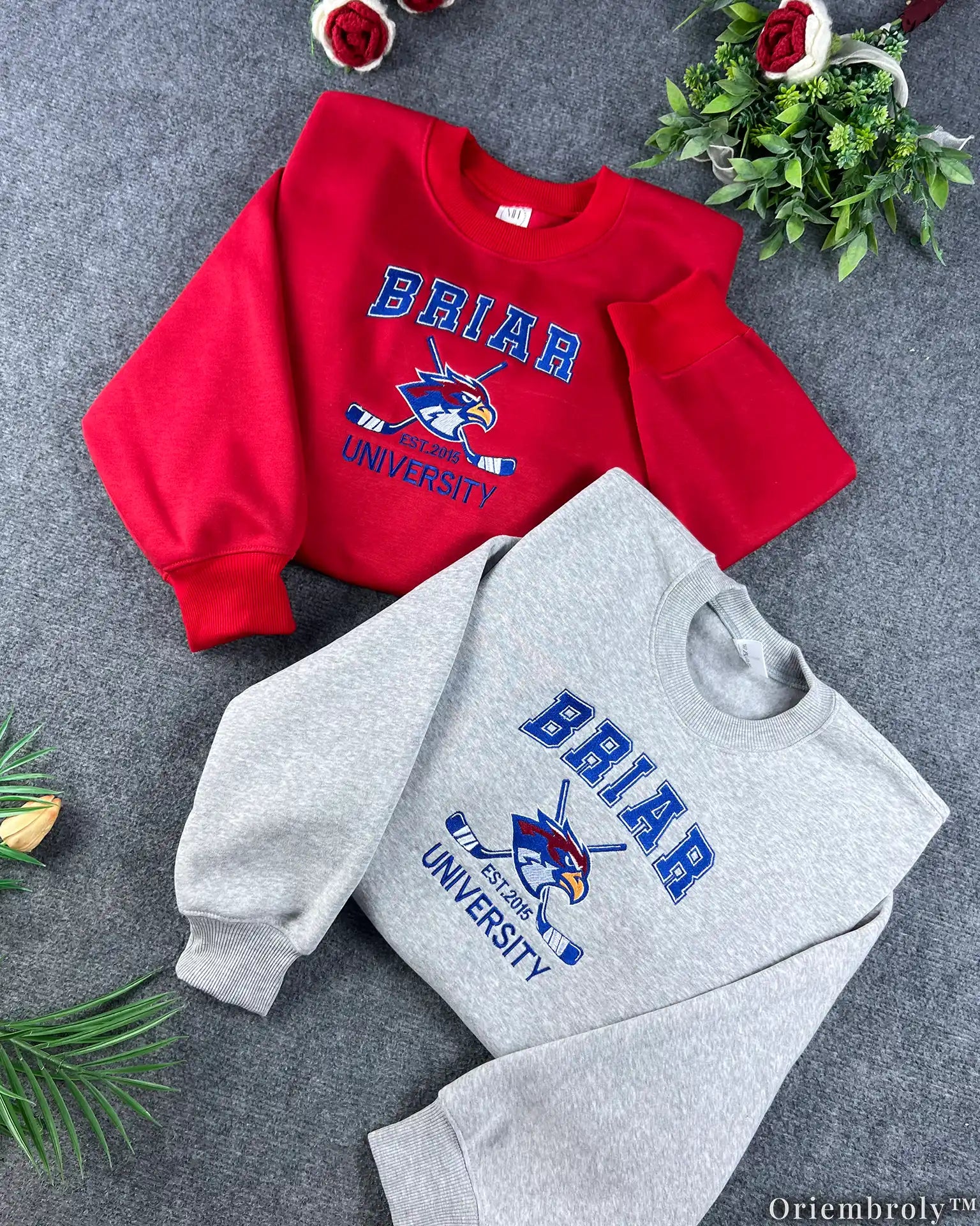 Briar University Embroidered Sweatshirt – Off Campus Hockey Romance Crewneck