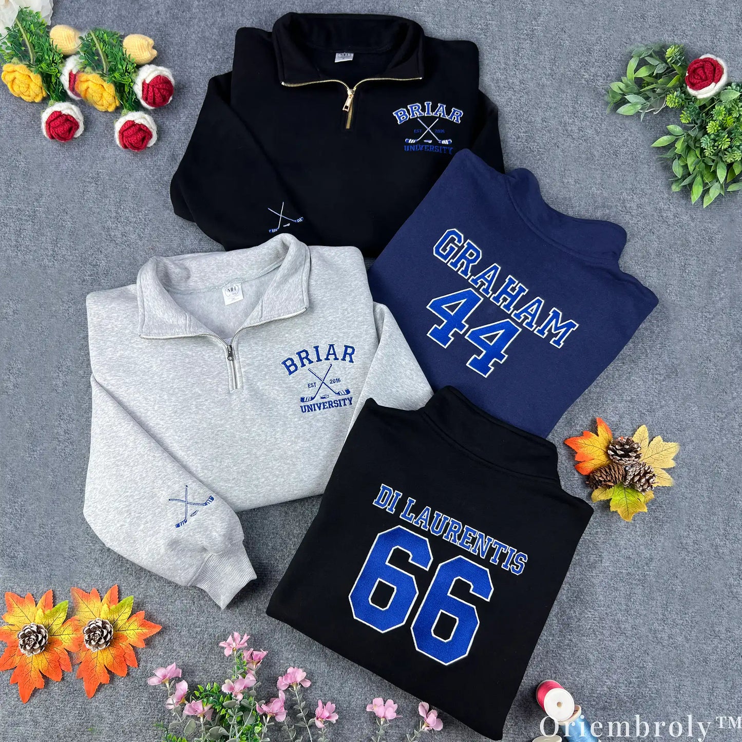 Briar University Embroidered Sweatshirt