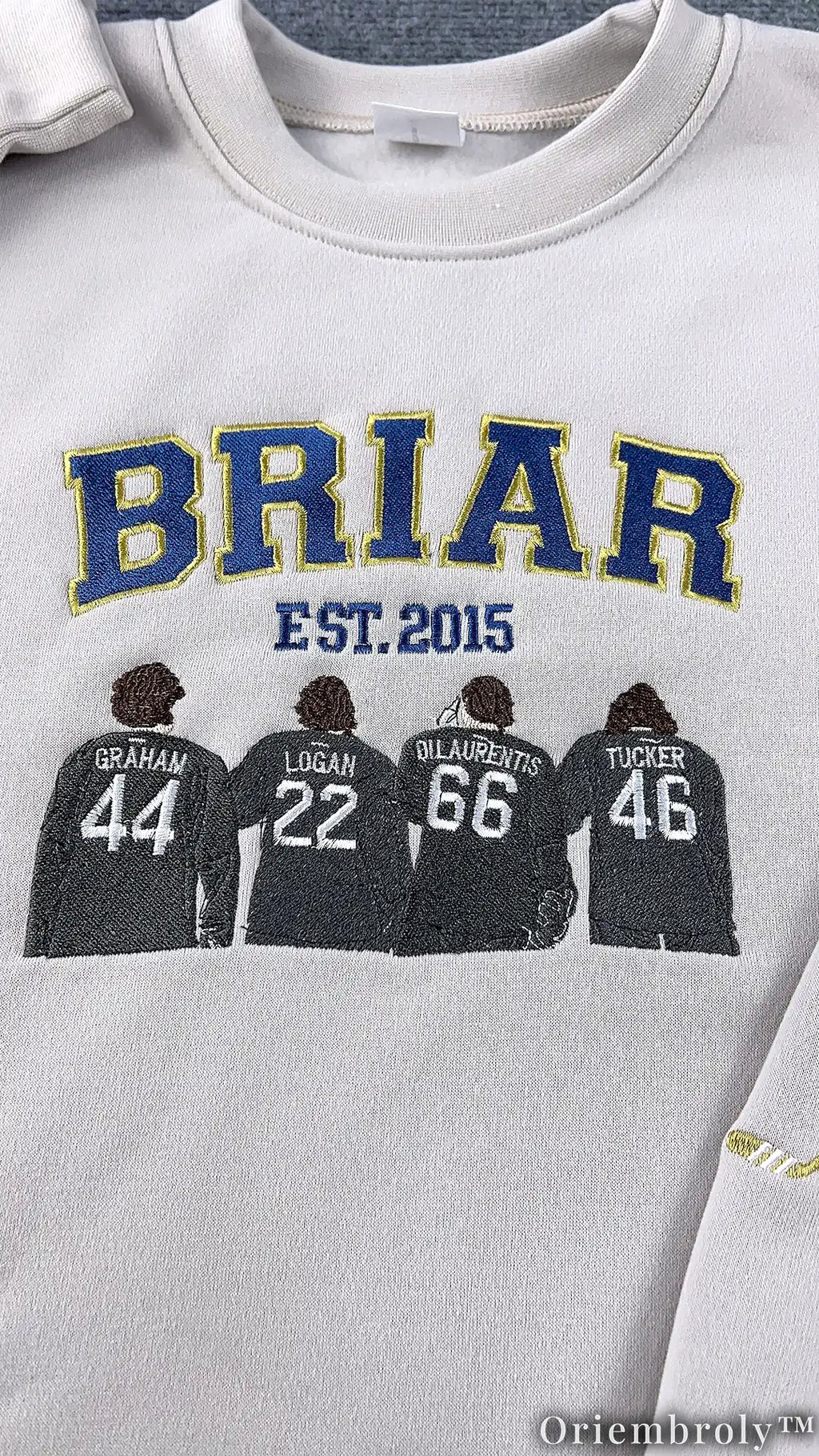 Embroidered College Varsity Sweatshirt | Bookish Campus Fleece Crewneck