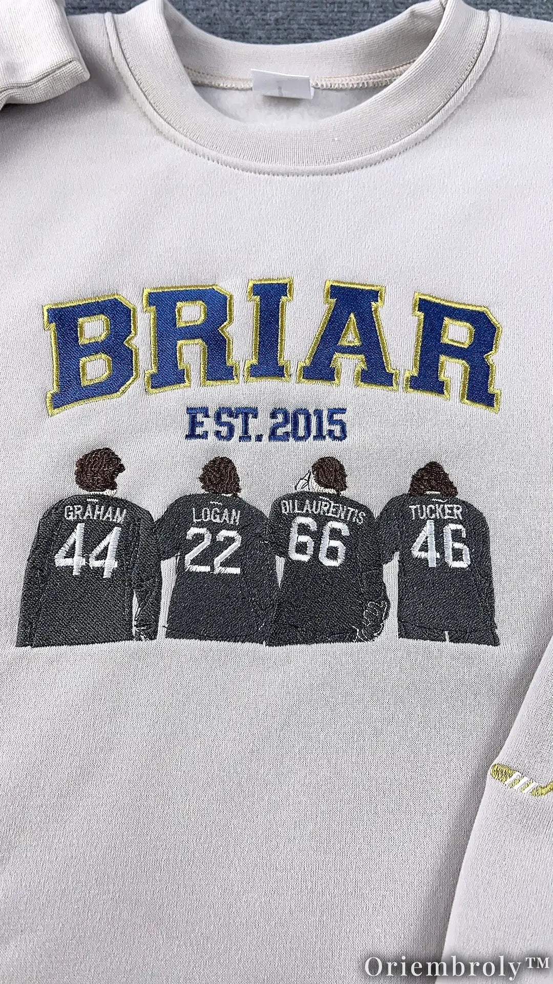 Embroidered College Varsity Sweatshirt | Bookish Campus Fleece Crewneck
