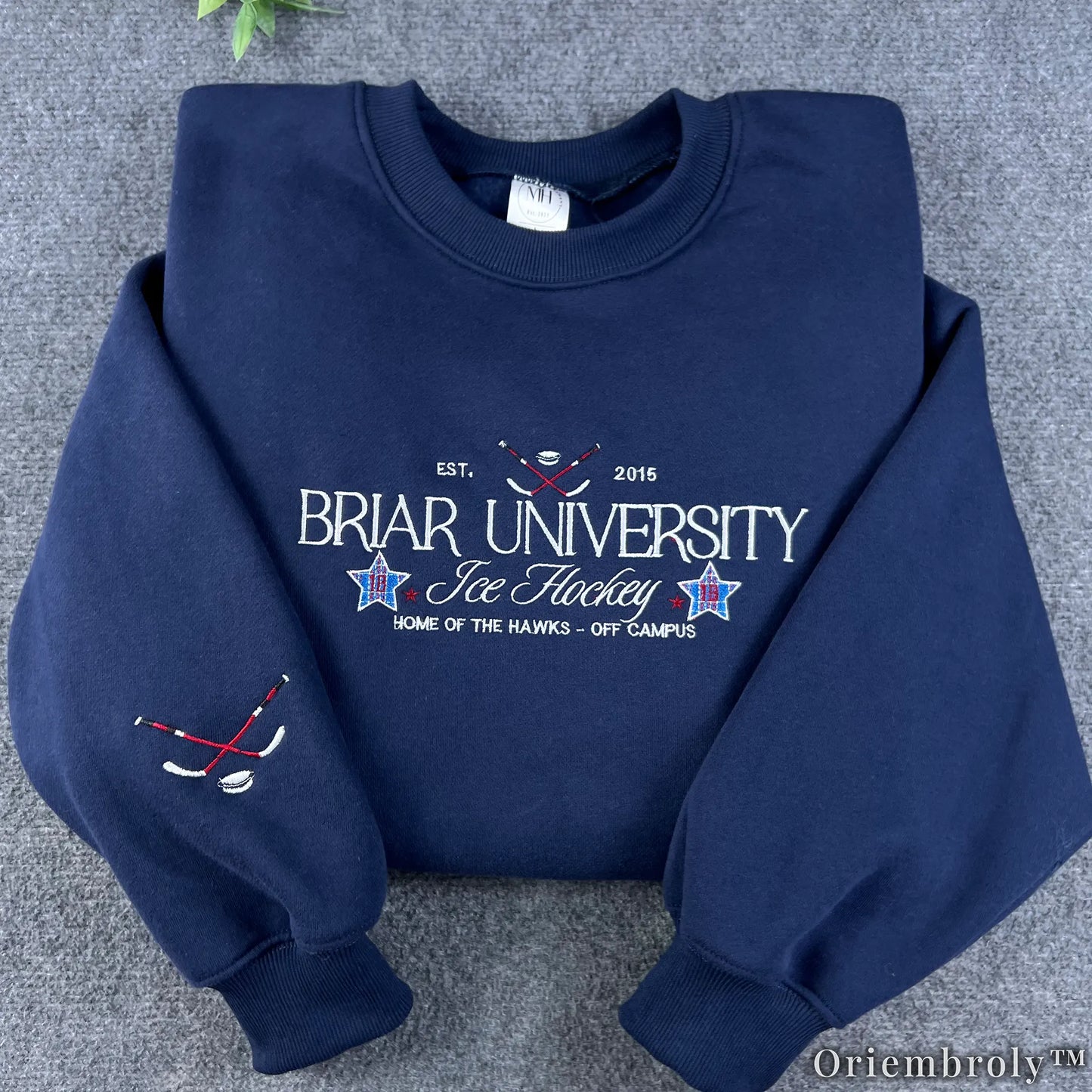 Briar University Hockey Embroidered Sweatshirt – Off Campus Romance Crewneck