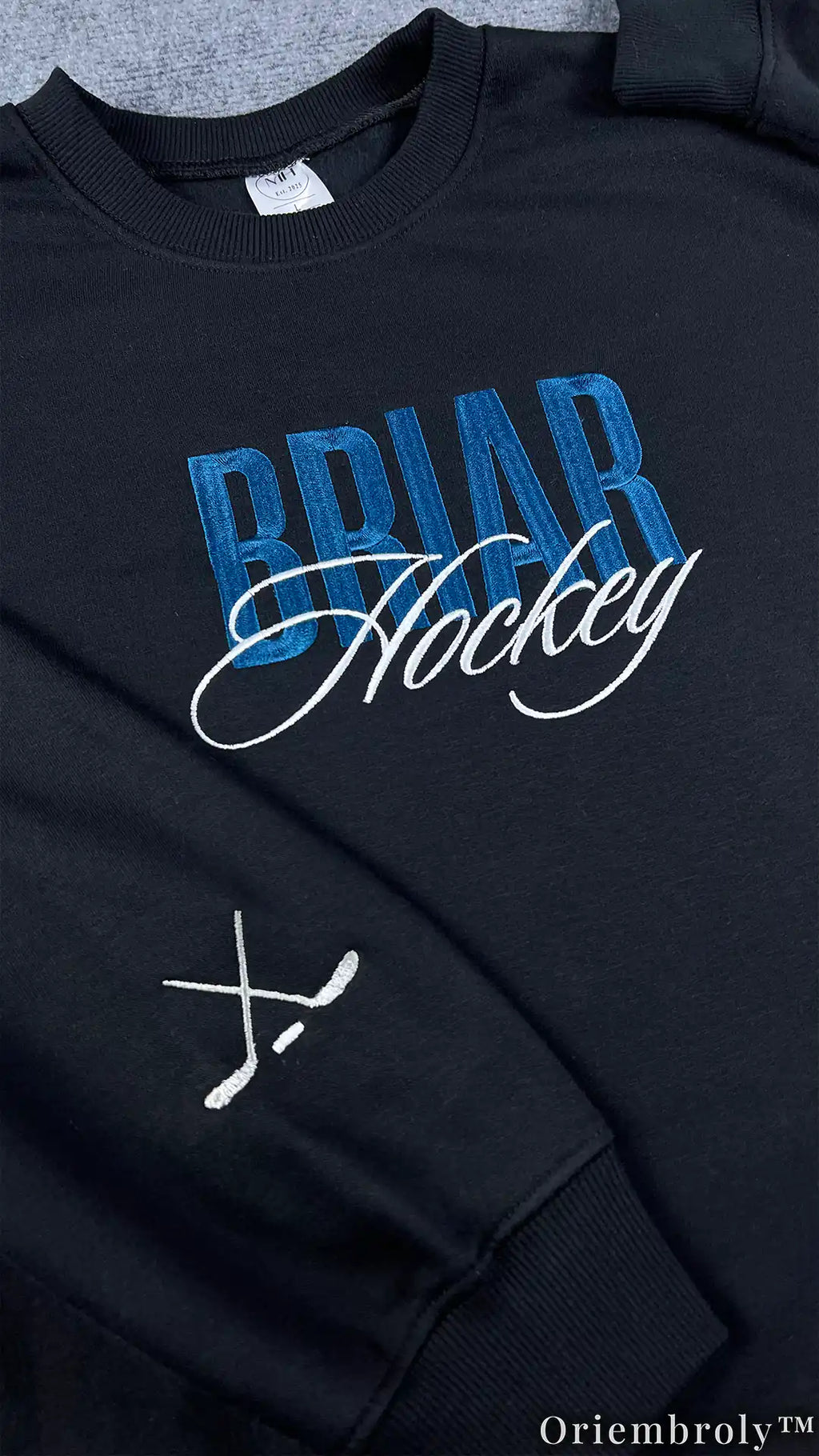 Briar University Embroidered Sweatshirt and Hoodie