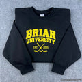 Briar University Di Laurentis 66 Embroidered Sweatshirt – Hockey Romance Crewneck