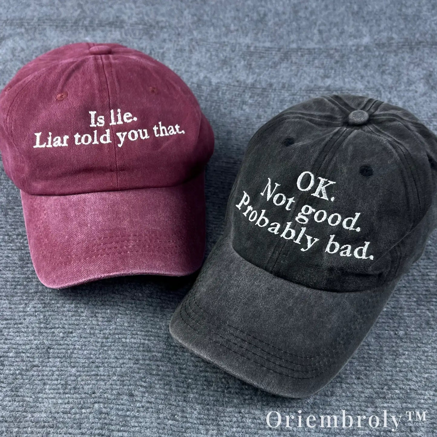 Sarcastic Reality Check Embroidered Vintage Washed Dad Hat – Dark Humor Minimal Statement Cap