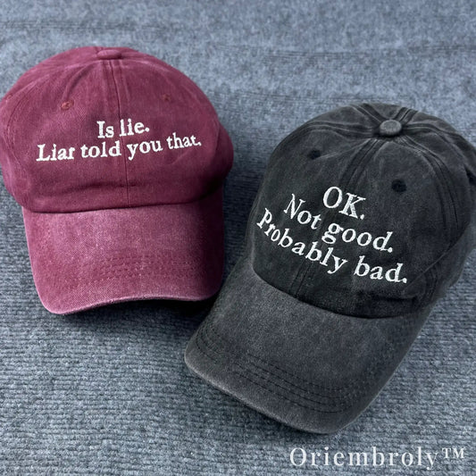 Sarcastic Reality Check Embroidered Vintage Washed Dad Hat – Dark Humor Minimal Statement Cap