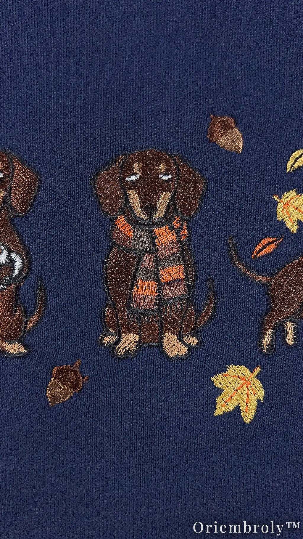 Cozy Dachshund Embroidered Sweatshirt – Autumn Wiener Dog Unisex Fleece Crewneck