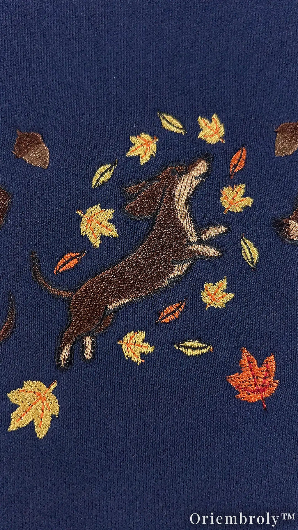 Cozy Dachshund Embroidered Sweatshirt – Autumn Wiener Dog Unisex Fleece Crewneck