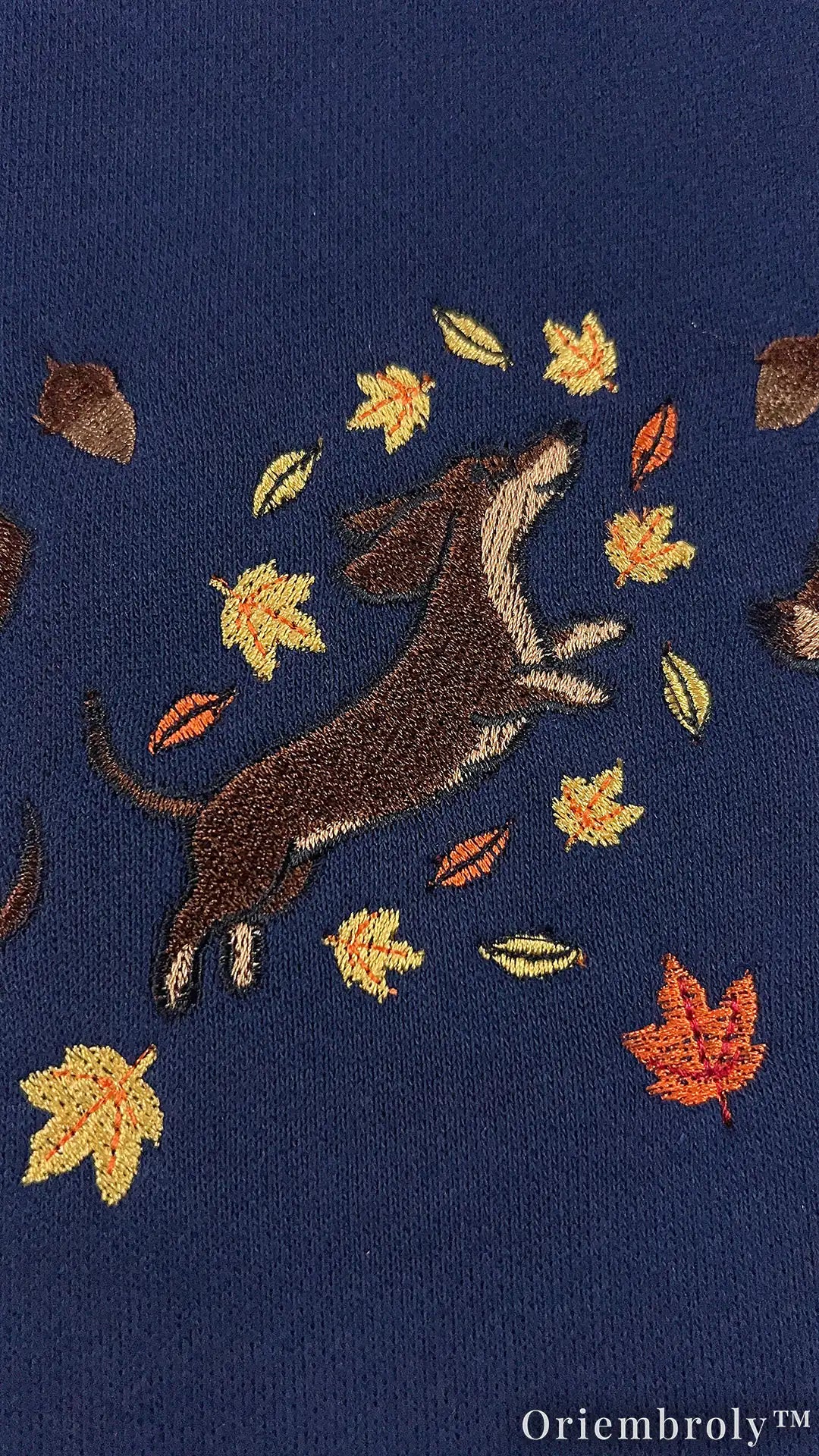 Cozy Dachshund Embroidered Sweatshirt – Autumn Wiener Dog Unisex Fleece Crewneck