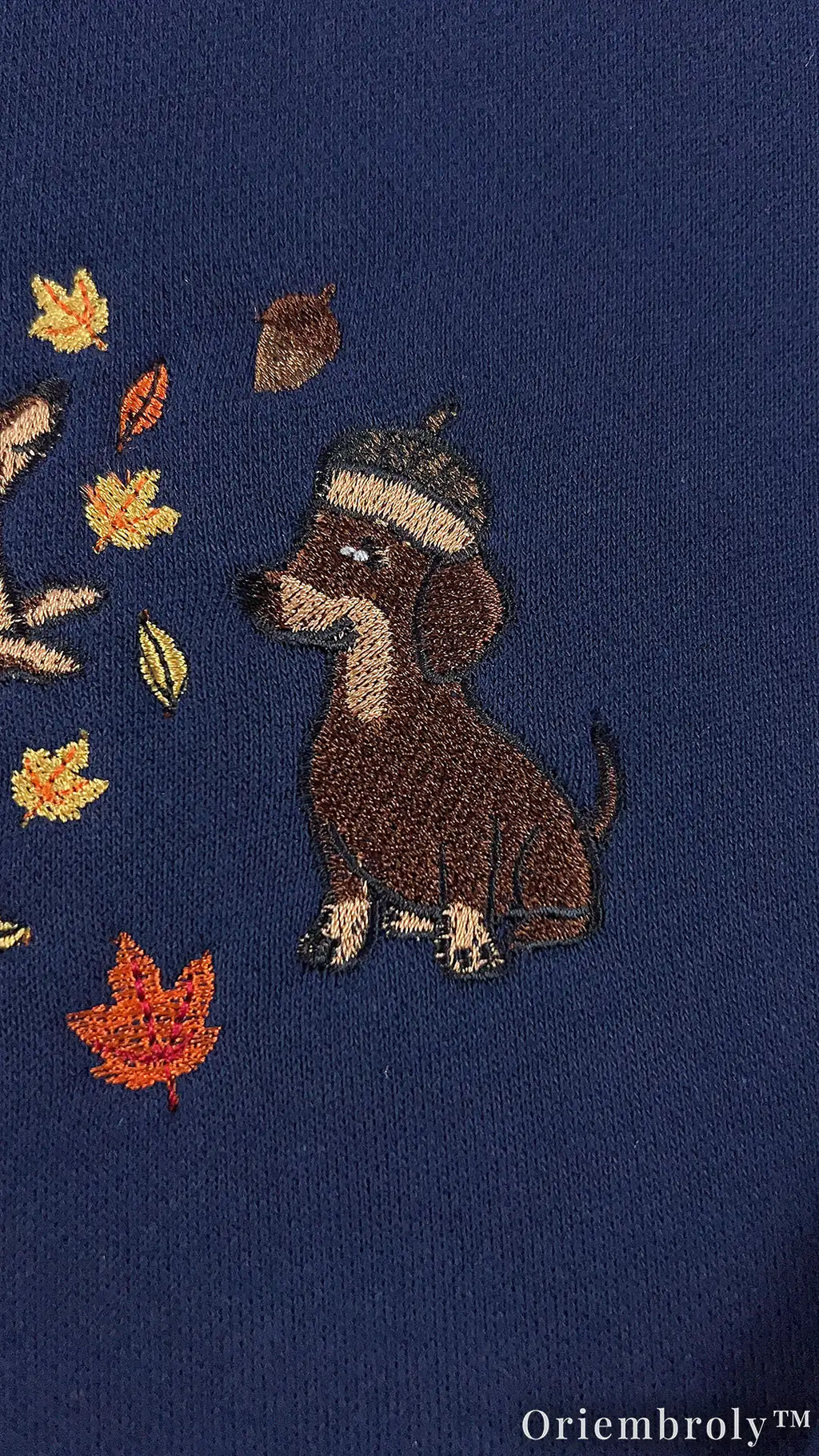 Cozy Dachshund Embroidered Sweatshirt – Autumn Wiener Dog Unisex Fleece Crewneck