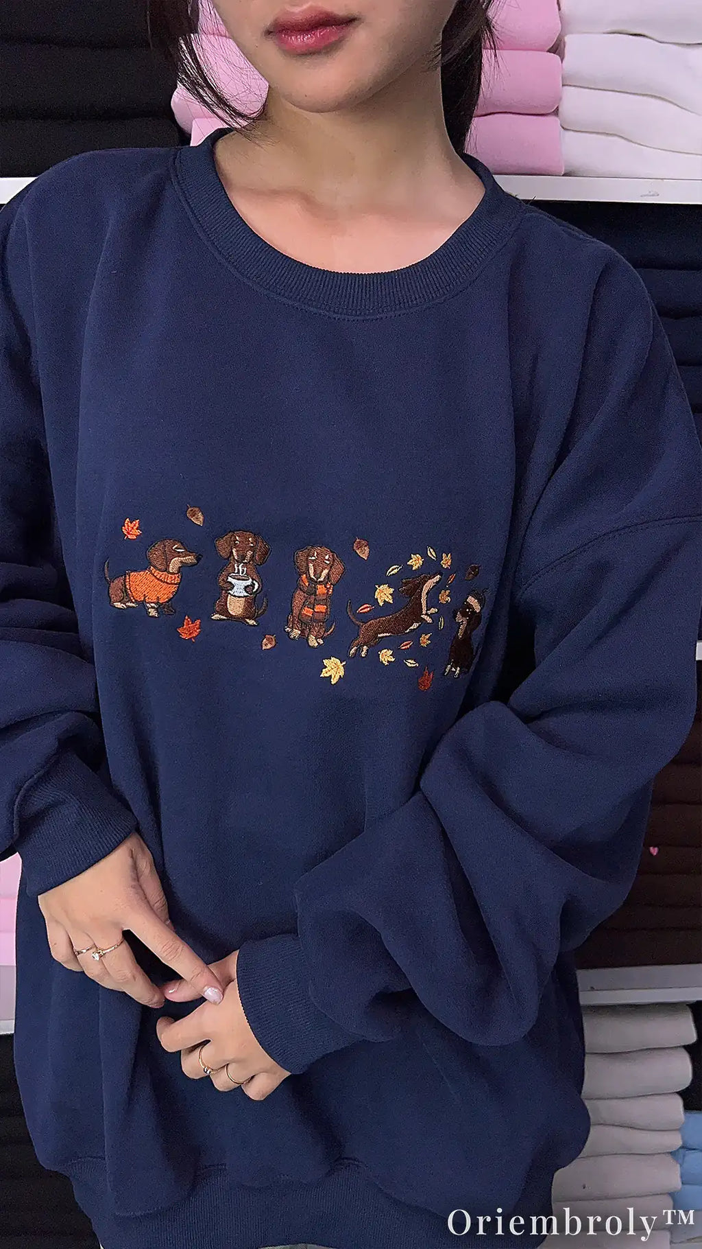 Cozy Dachshund Embroidered Sweatshirt – Autumn Wiener Dog Unisex Fleece Crewneck