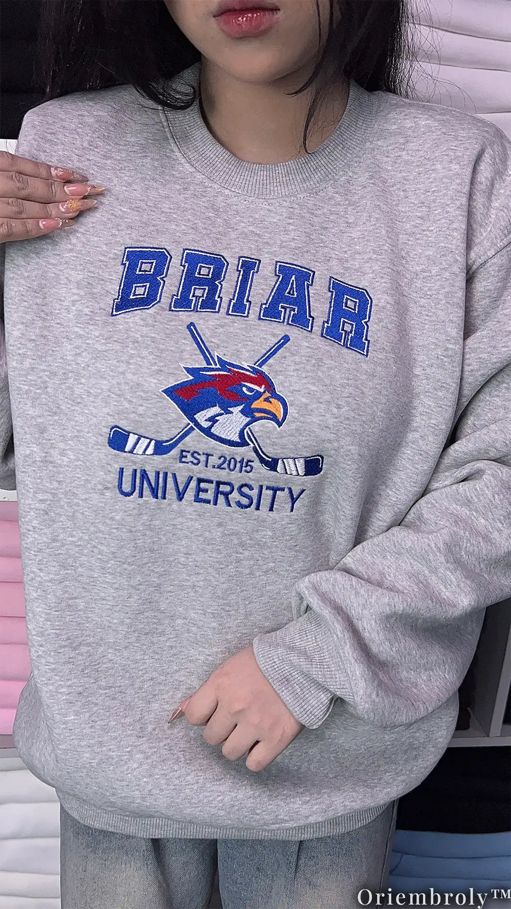 Briar University Embroidered Sweatshirt – Off Campus Hockey Romance Crewneck