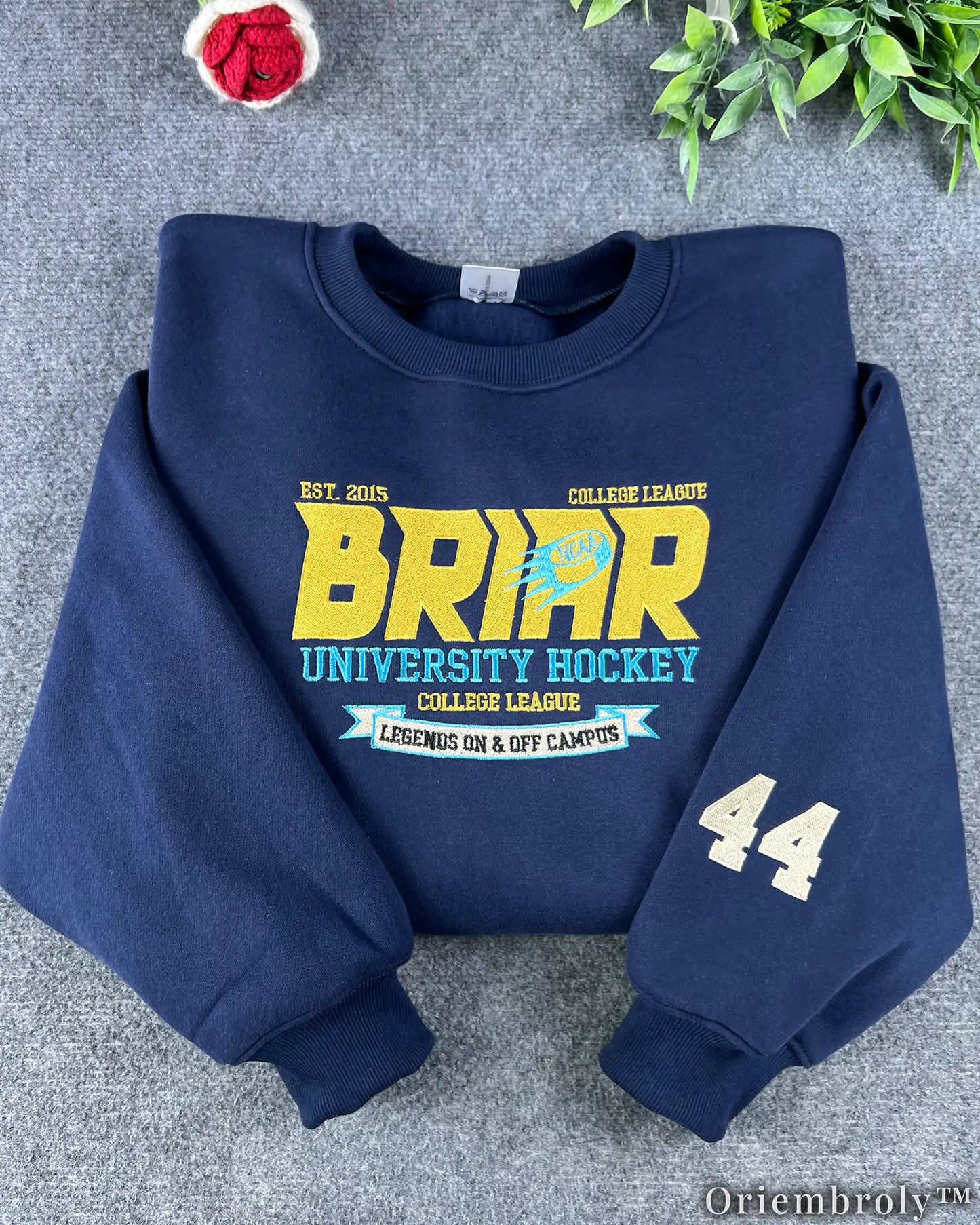 Briar University Hockey Embroidered Sweatshirt – Vintage Collegiate Crewneck