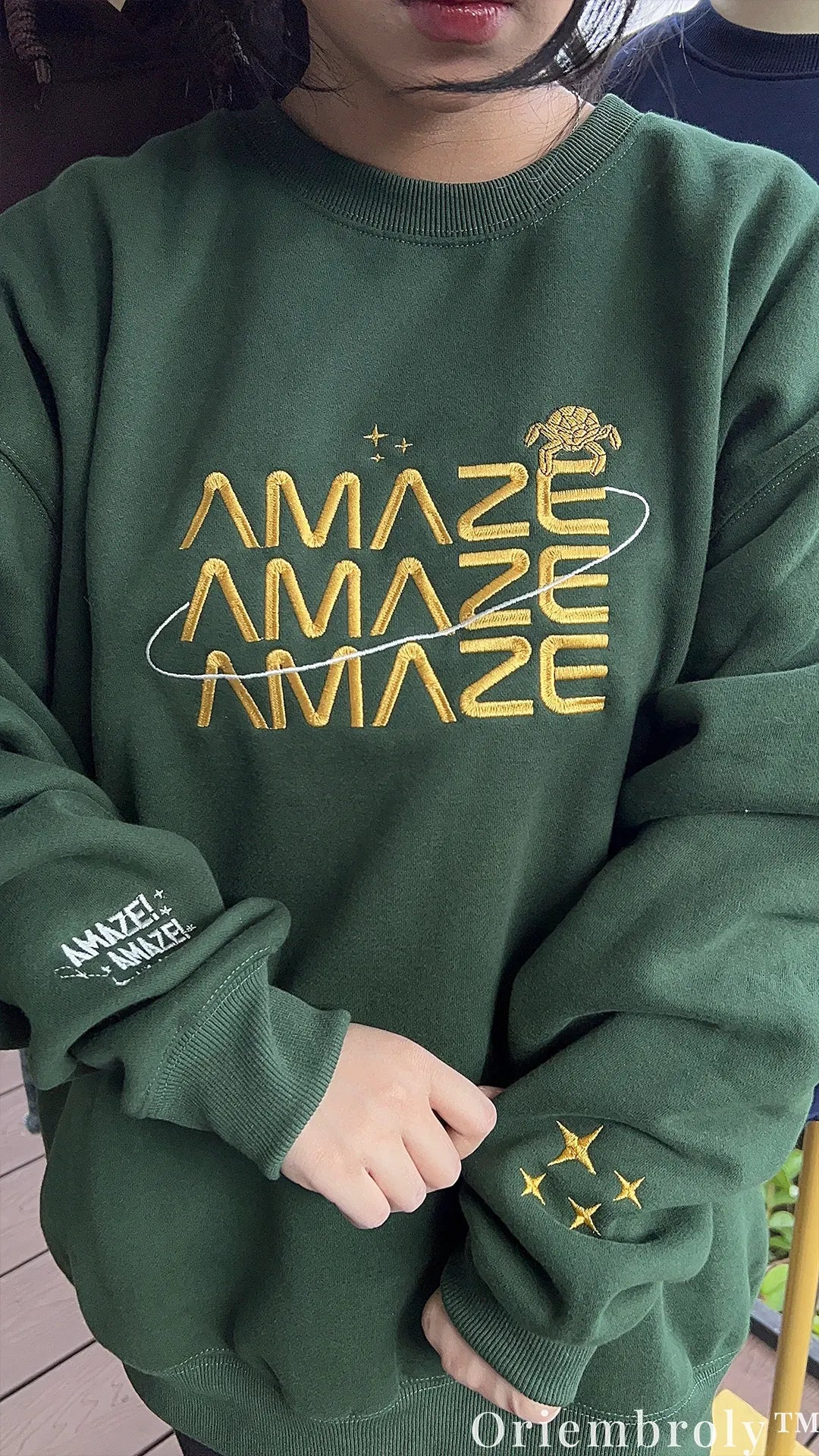 Project Hail Mary AMAZE Rocky Hoodie – Sci-Fi Embroidered Space Sweatshirt