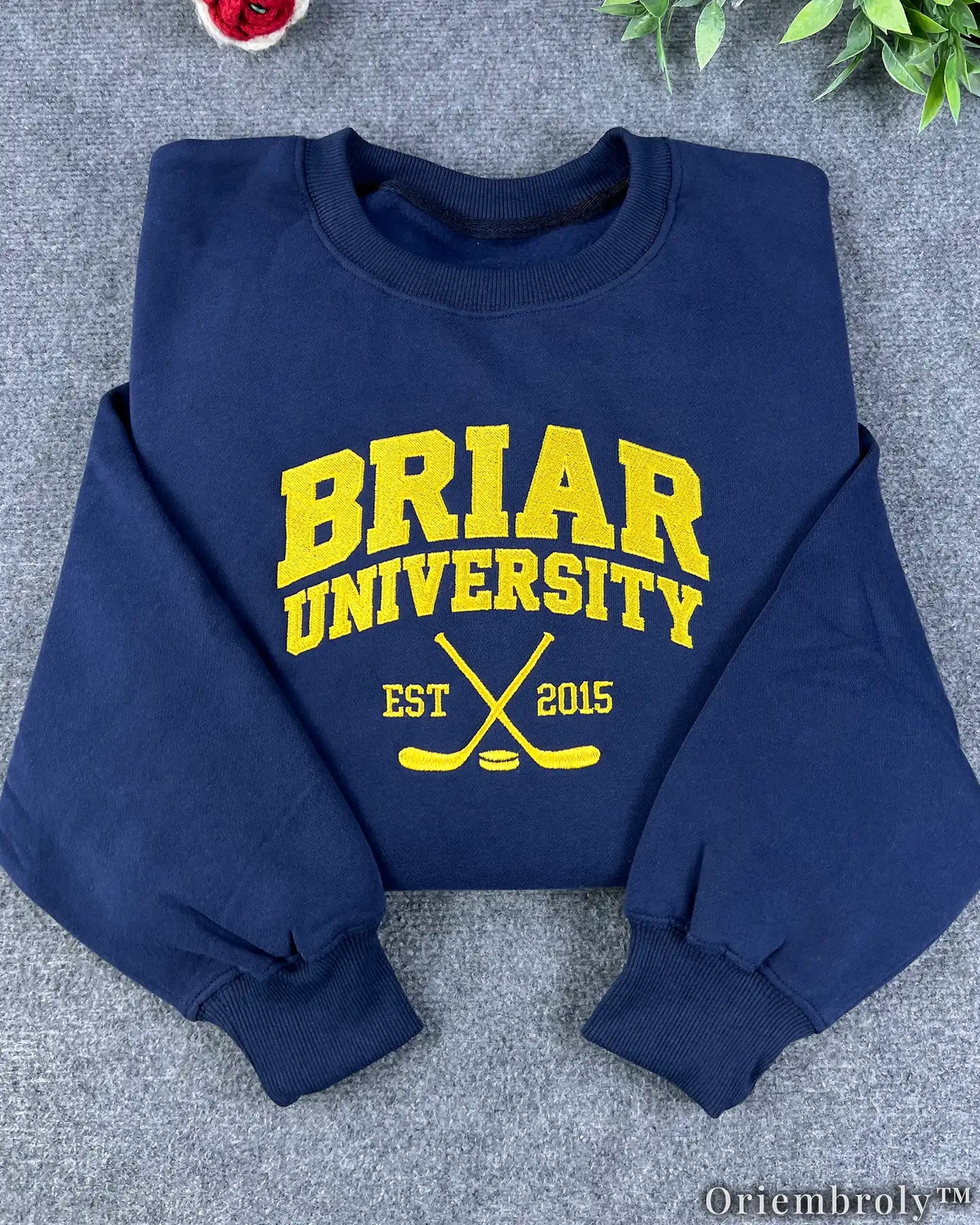 Briar University Di Laurentis 66 Embroidered Sweatshirt – Hockey Romance Crewneck