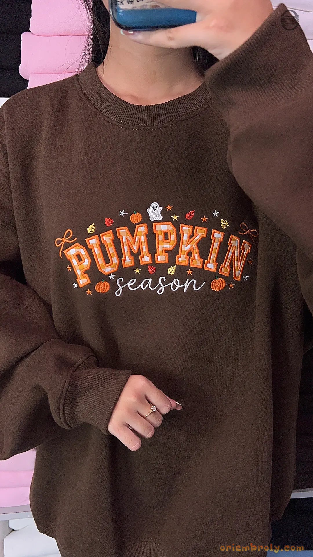 Pumpkin Season Gingham Patchwork Embroidered Dark Brown Crewneck Sweatshirt