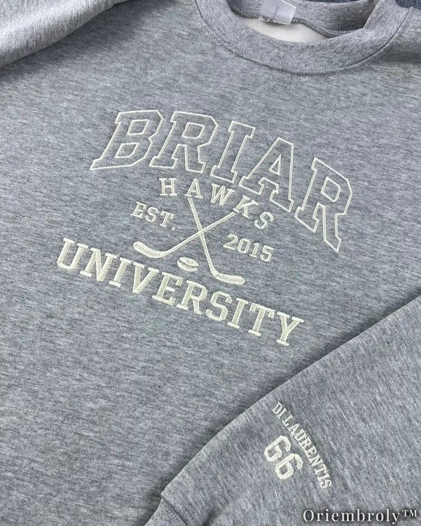 Briar University Embroidered Sweatshirt – Off Campus Hockey Romance Crewneck