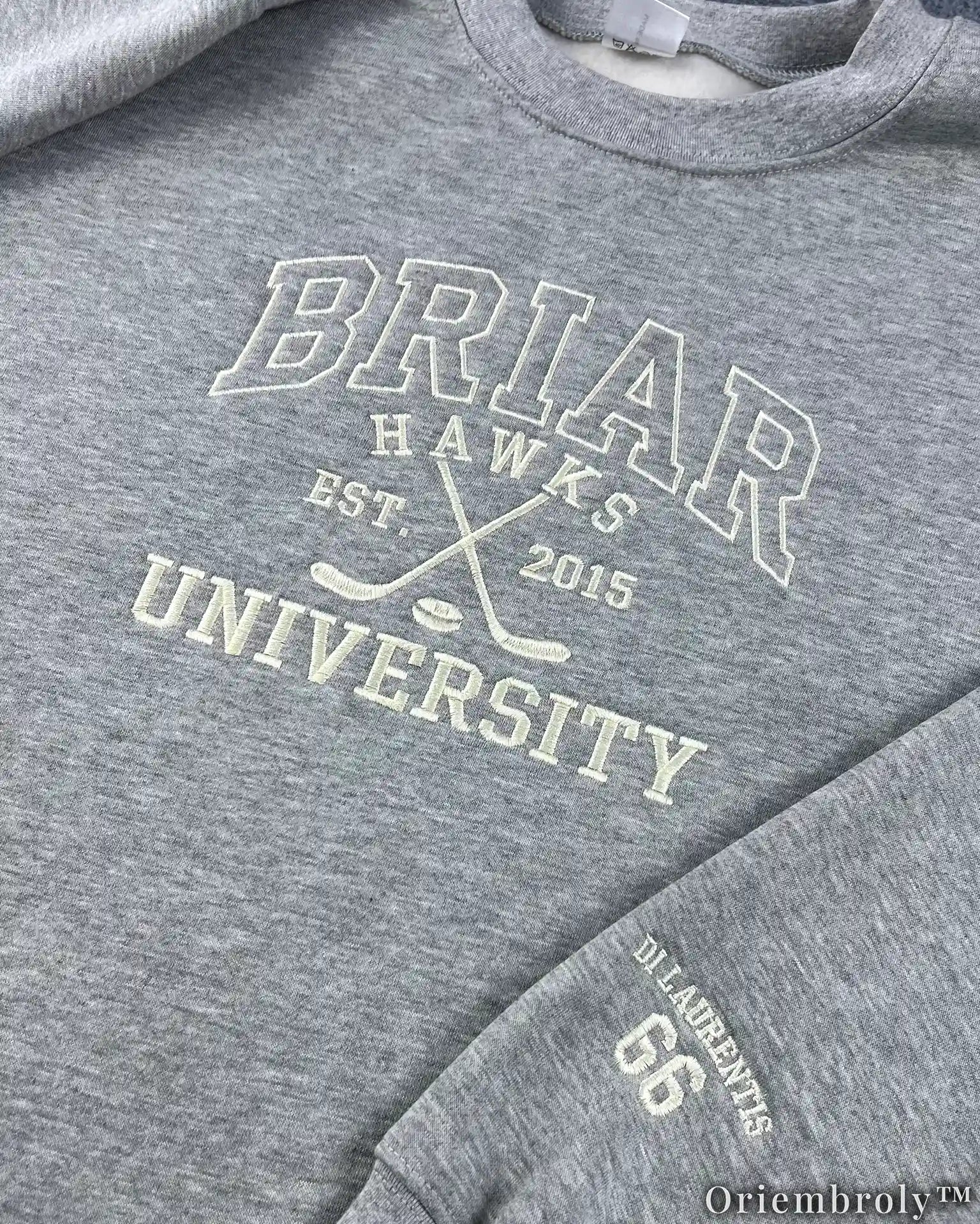Briar University Embroidered Sweatshirt – Off Campus Hockey Romance Crewneck