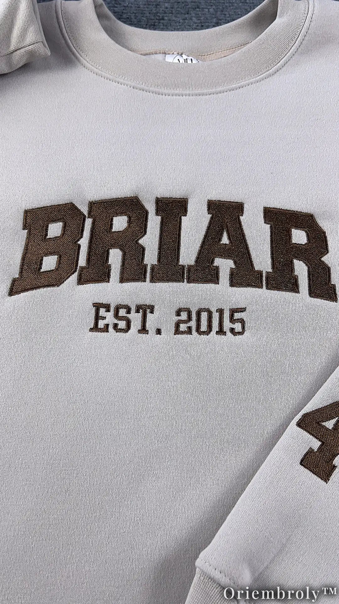 Embroidered Collegiate Varsity Sweatshirt | University Inspired Fleece Crewneck