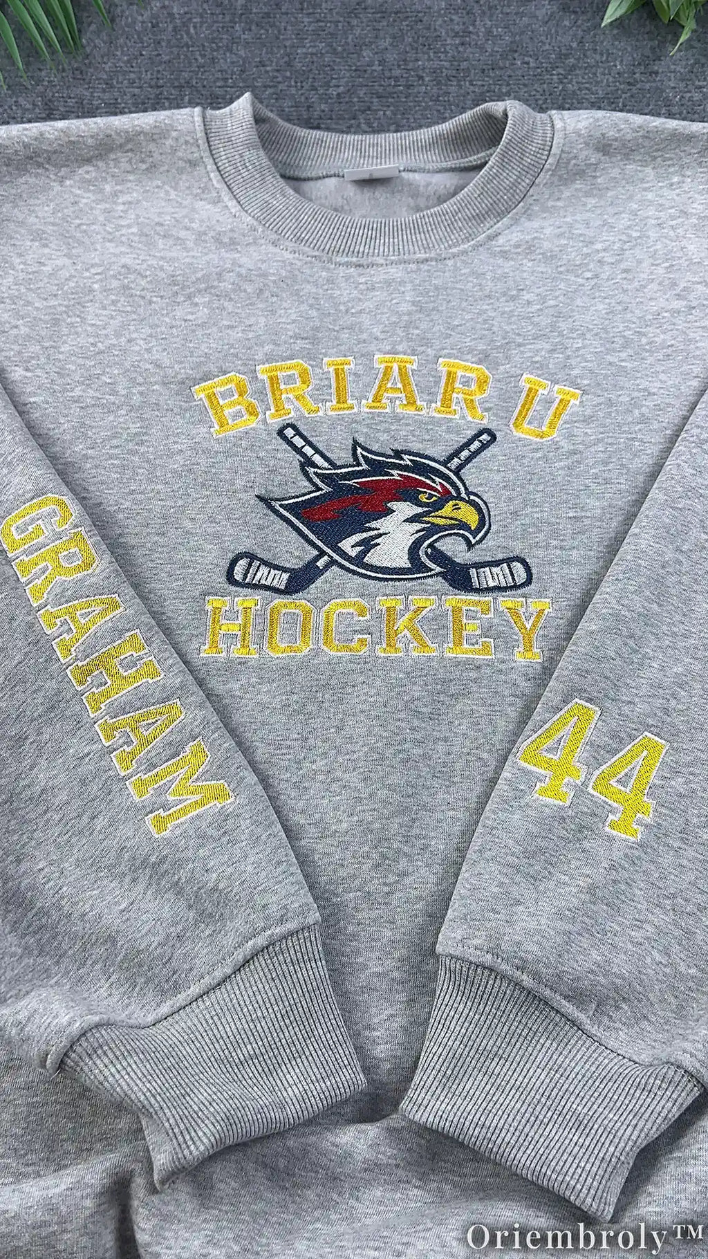 College Hockey Romance Embroidered Sweatshirt | Varsity Book Lover Fleece Crewneck