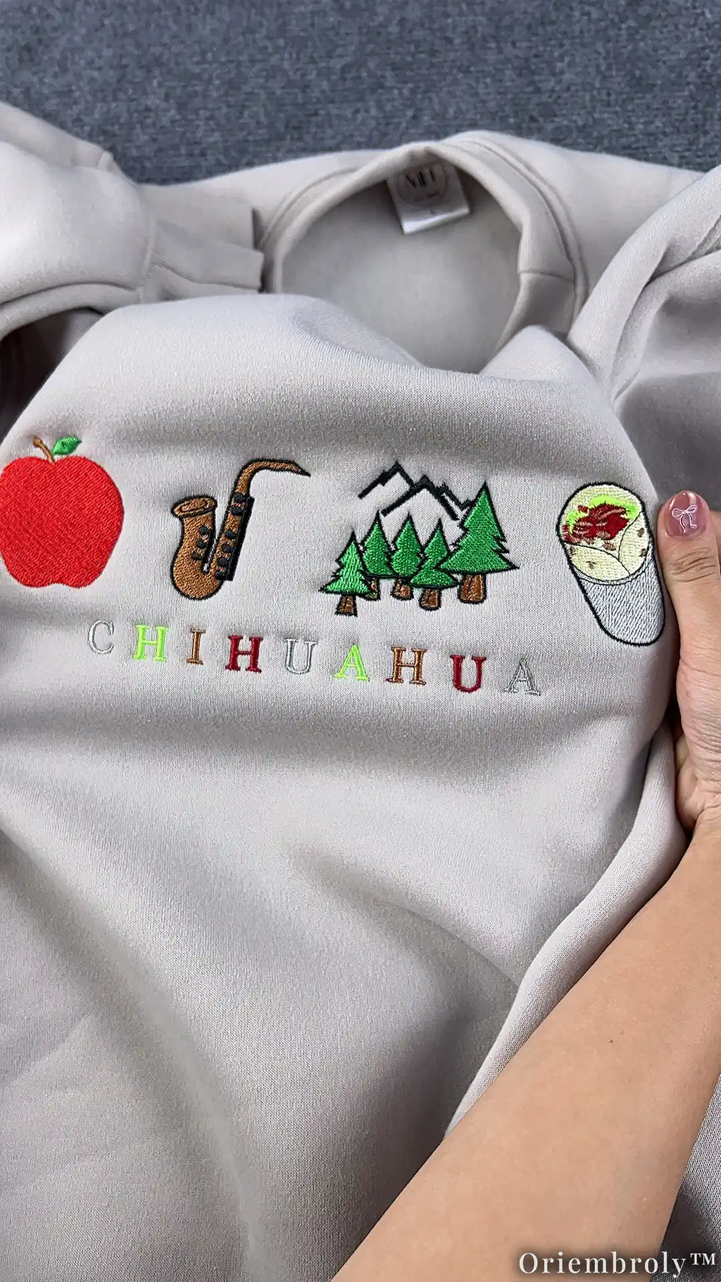 Chihuahua Rebus Puzzle Sweater - Apple Sax Mountain Burrito