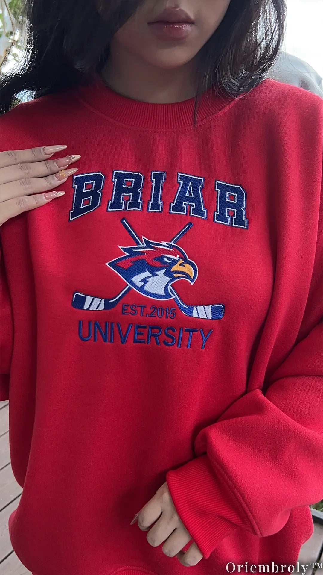 Briar University Embroidered Sweatshirt – Off Campus Hockey Romance Crewneck