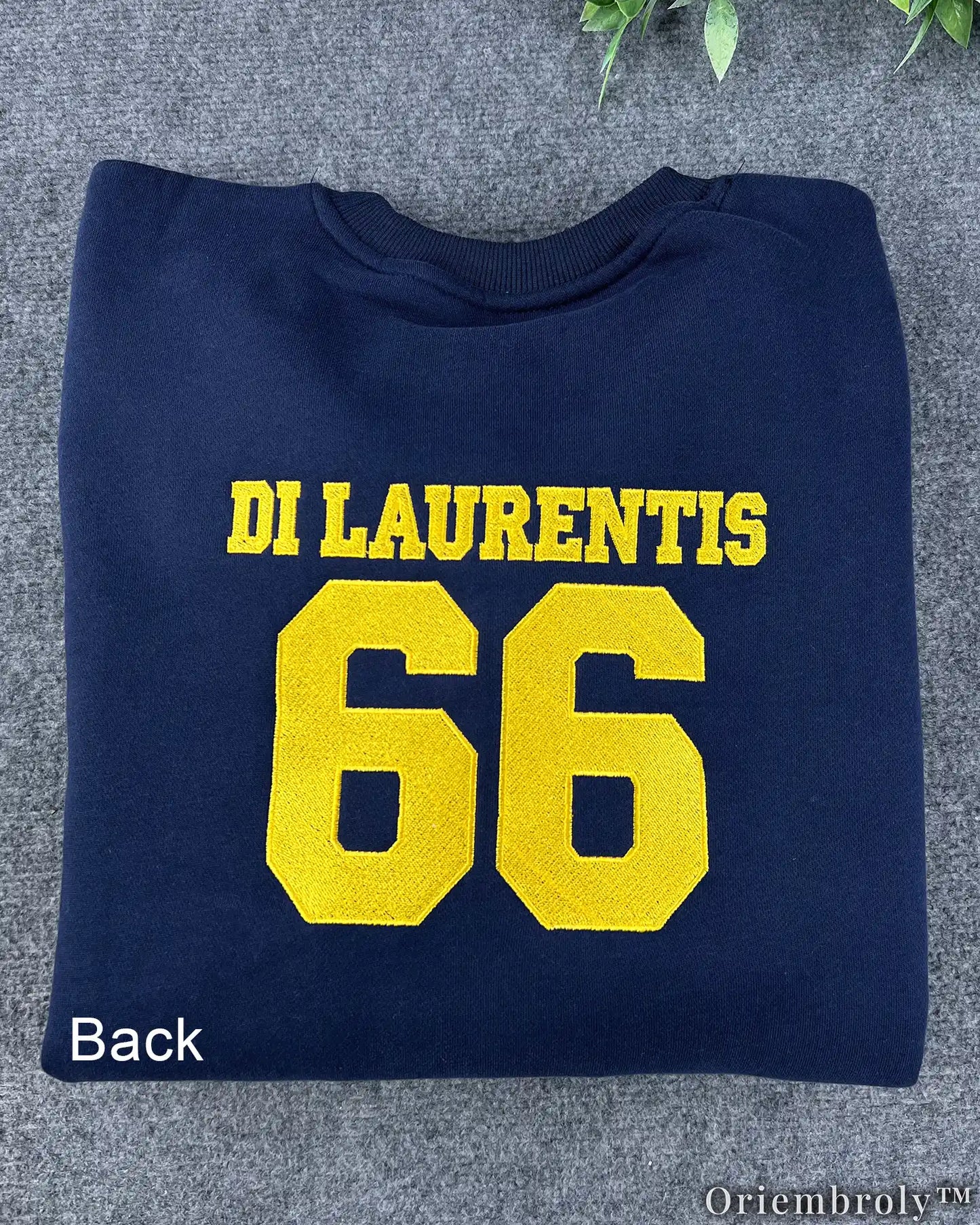 Briar University Di Laurentis 66 Embroidered Sweatshirt – Hockey Romance Crewneck