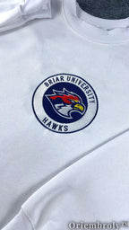 Briar University Hawks Di Laurentis 66 Embroidered Sweatshirt – Hockey Romance Crewneck