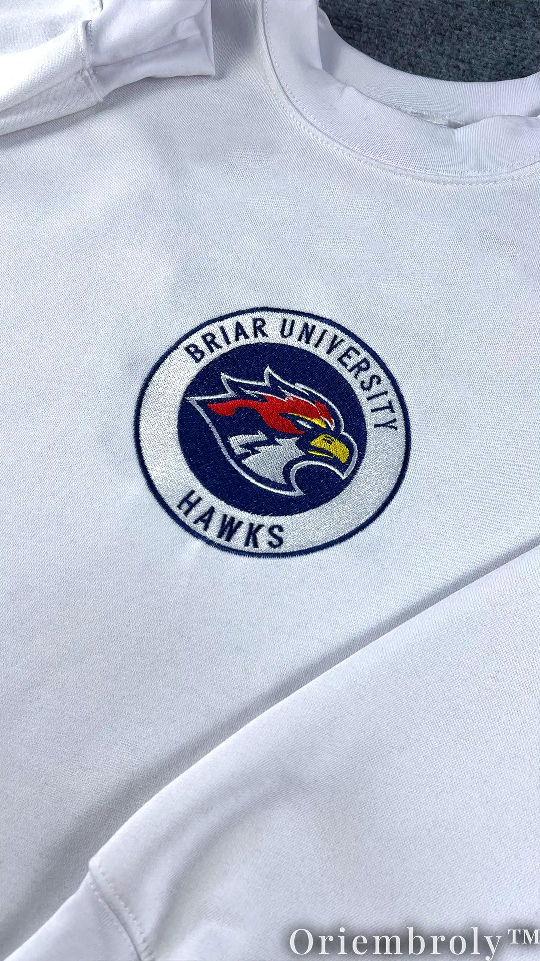 Briar University Hawks Di Laurentis 66 Embroidered Sweatshirt – Hockey Romance Crewneck