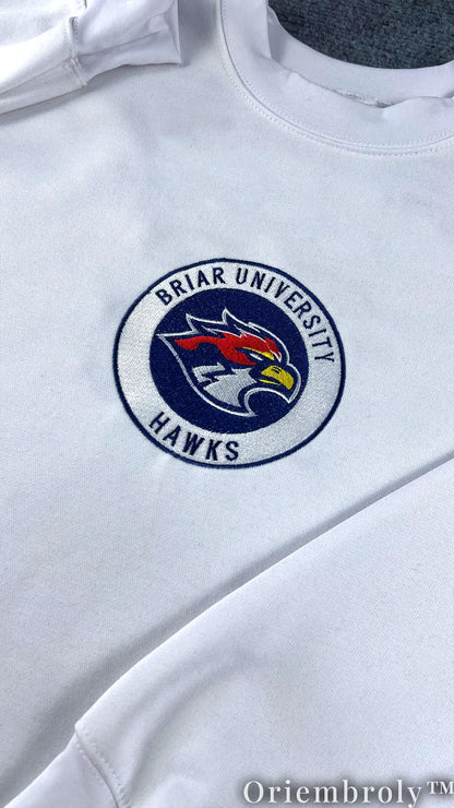 Briar University Hawks Di Laurentis 66 Embroidered Sweatshirt – Hockey Romance Crewneck