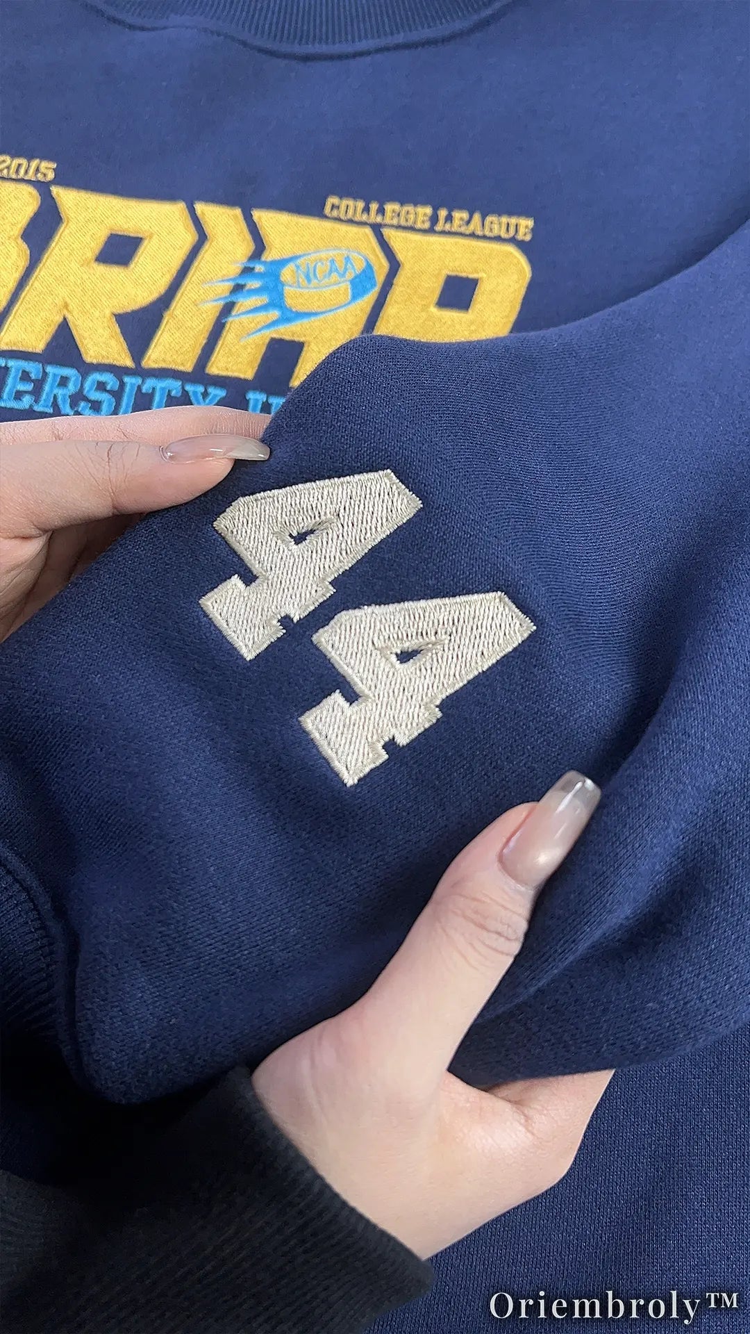 Briar University Hockey Embroidered Sweatshirt – Vintage Collegiate Crewneck