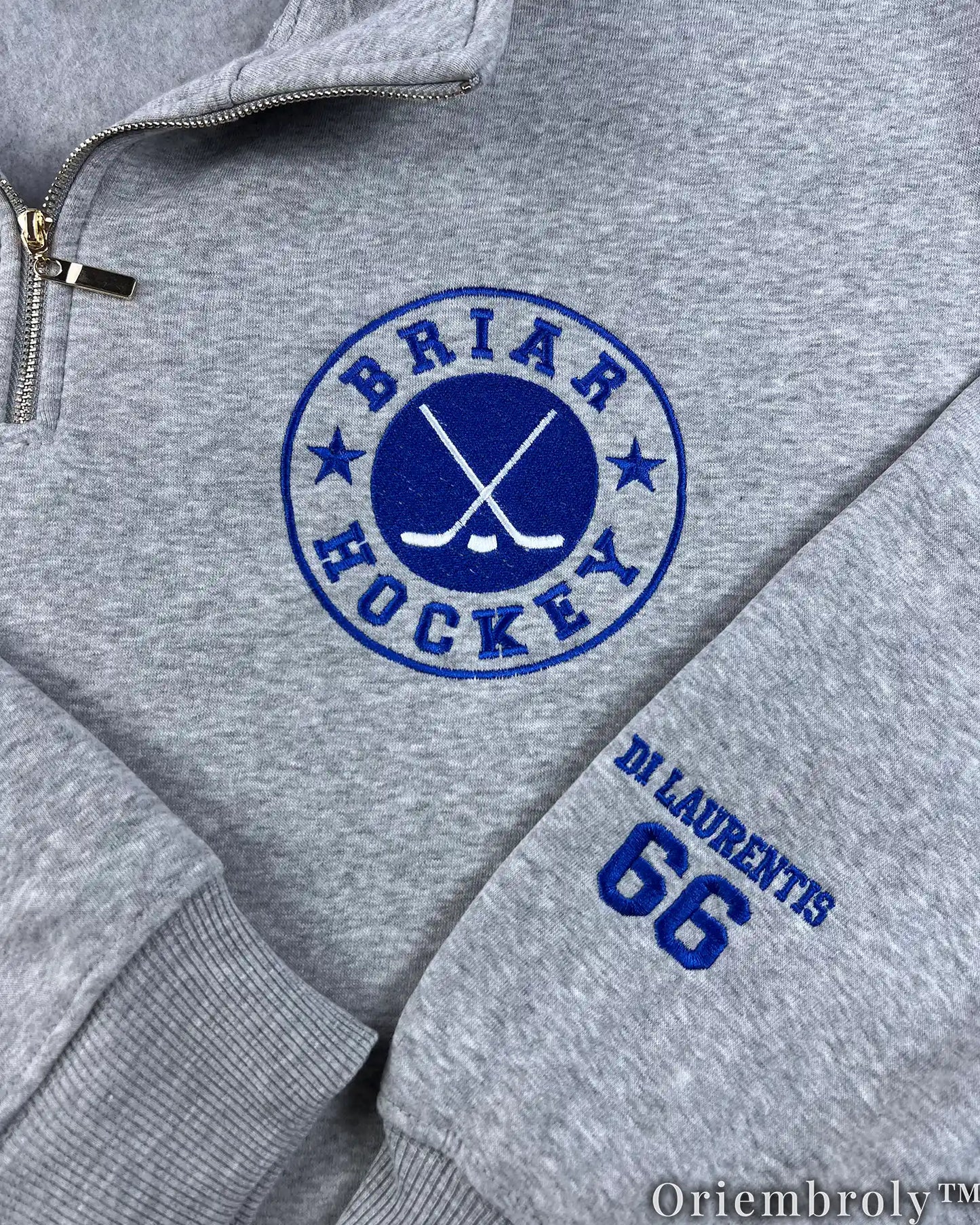 Briar University Varsity Embroidered Sweatshirt