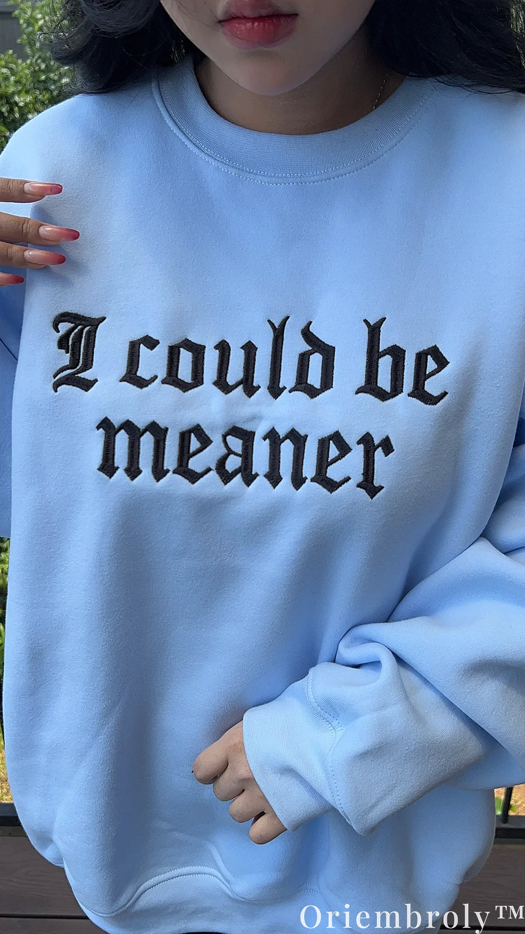 I Could Be Meaner Gothic Embroidered Sweatshirt – Minimalist Sarcastic Crewneck