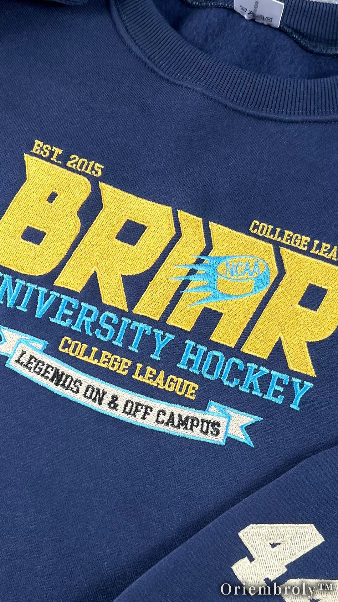 Briar University Hockey Embroidered Sweatshirt – Vintage Collegiate Crewneck