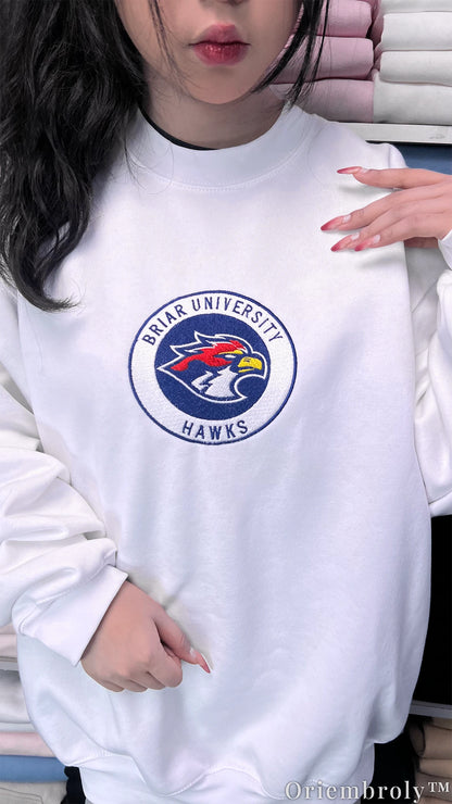 Briar University Hawks Di Laurentis 66 Embroidered Sweatshirt – Hockey Romance Crewneck
