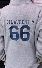 Briar University Hawks Quarter Zip Sweatshirt – Di Laurentis 66 Hockey Pullover