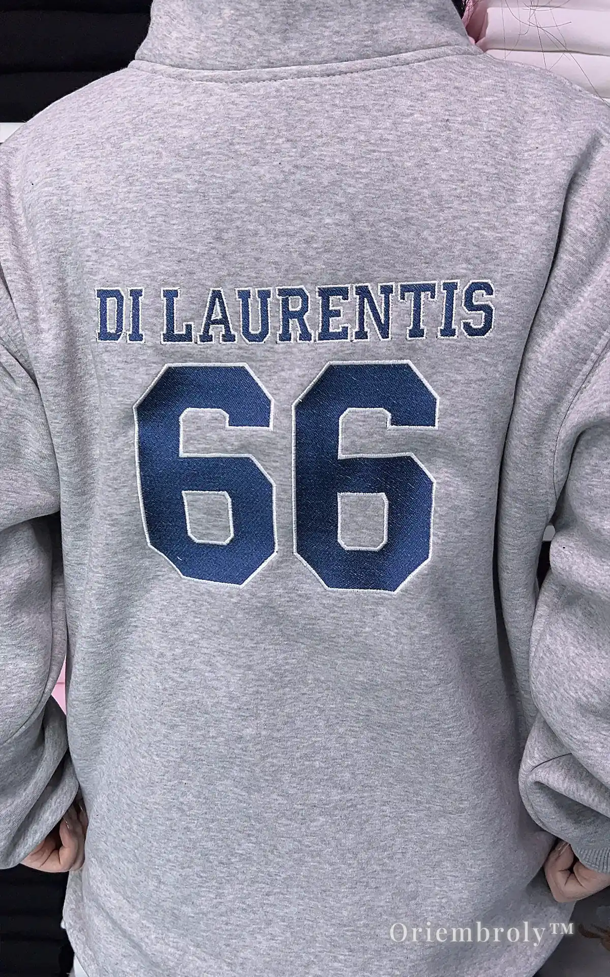 Briar University Hawks Quarter Zip Sweatshirt – Di Laurentis 66 Hockey Pullover