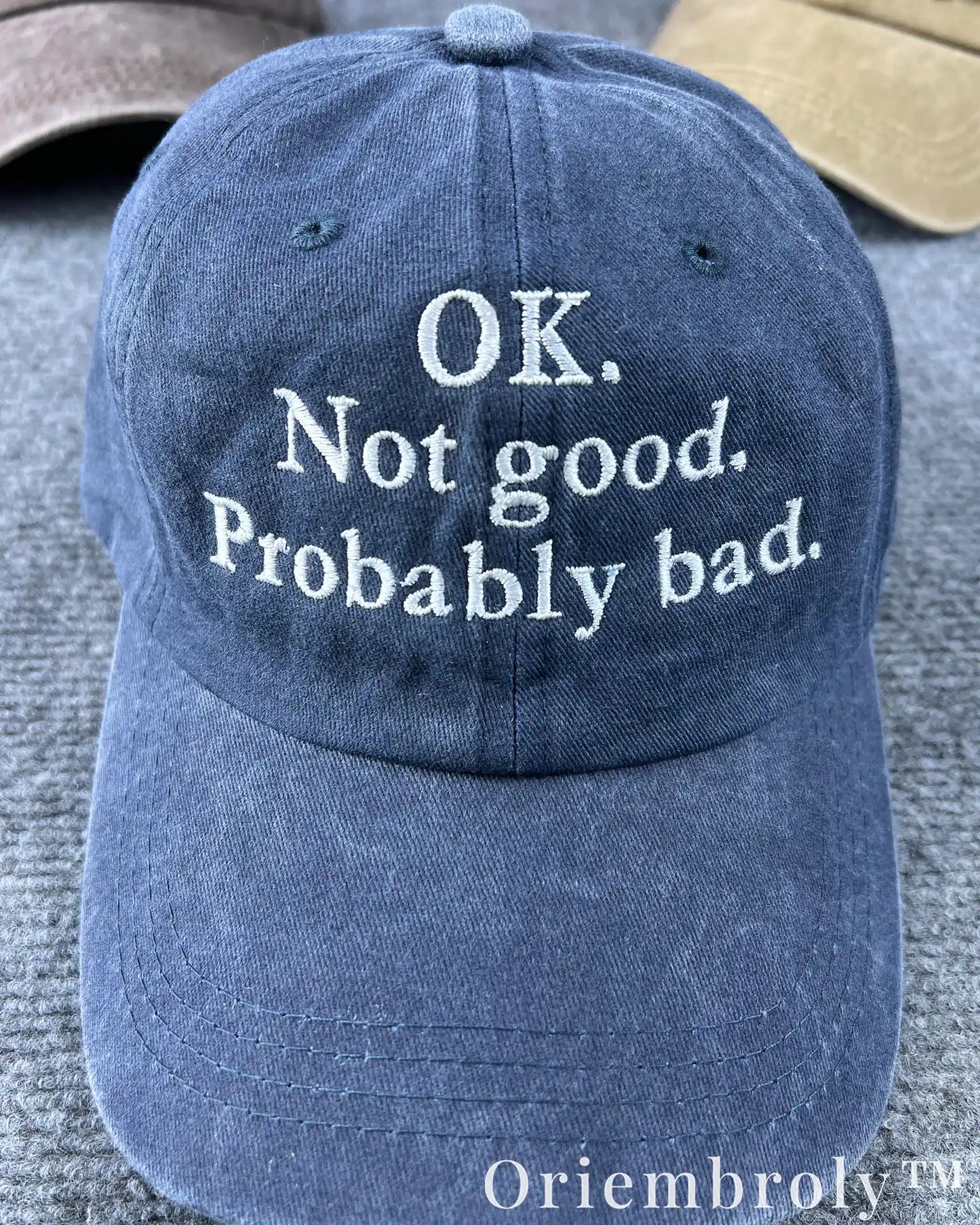 Sarcastic Reality Check Embroidered Vintage Washed Dad Hat – Dark Humor Minimal Statement Cap
