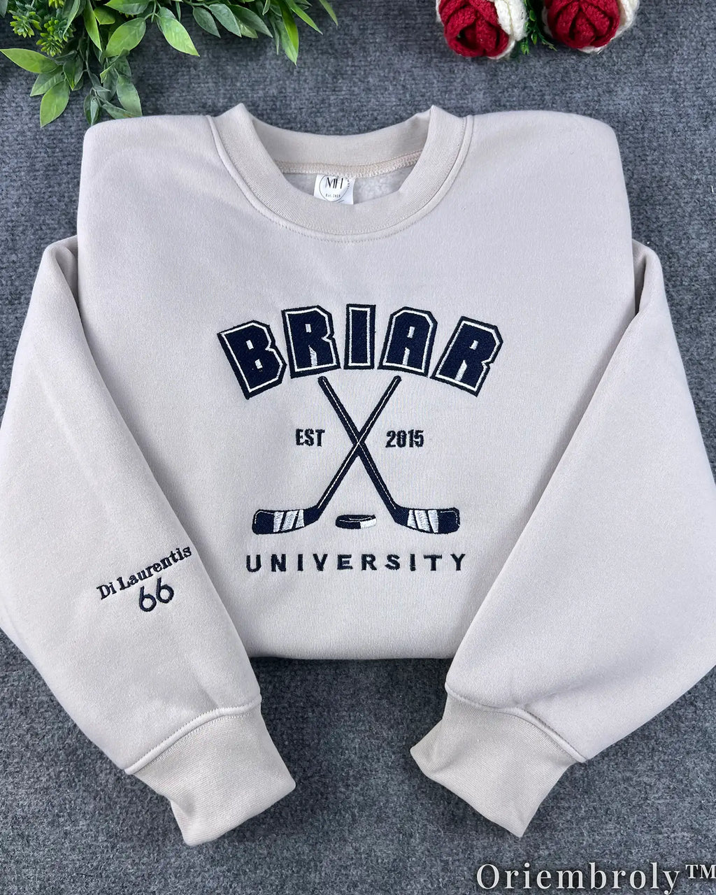 Briar University Collegiate Embroidered Sweatshirt